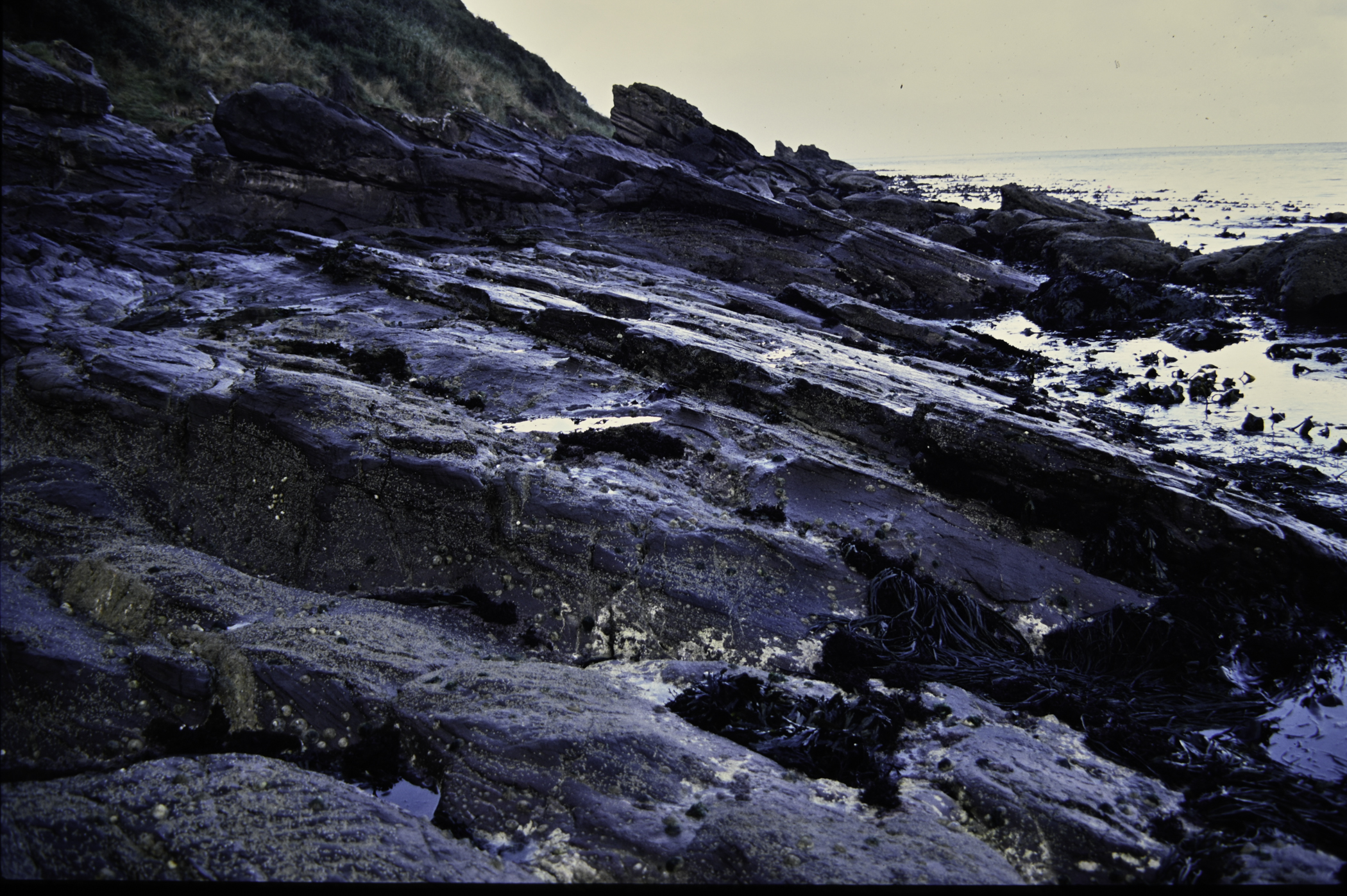 . Site: Layd Church, NE Coast. 