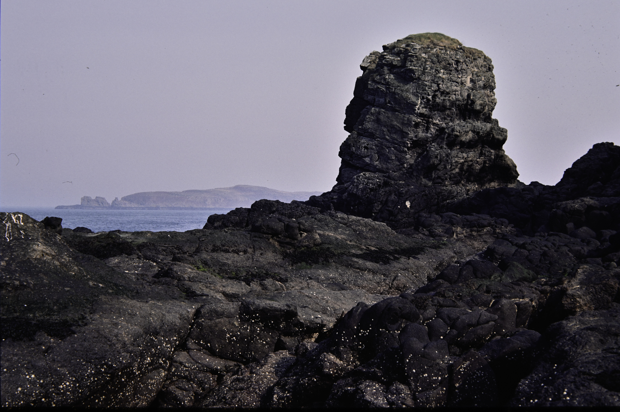 . Site: McIlroy's Port, NE Coast. 