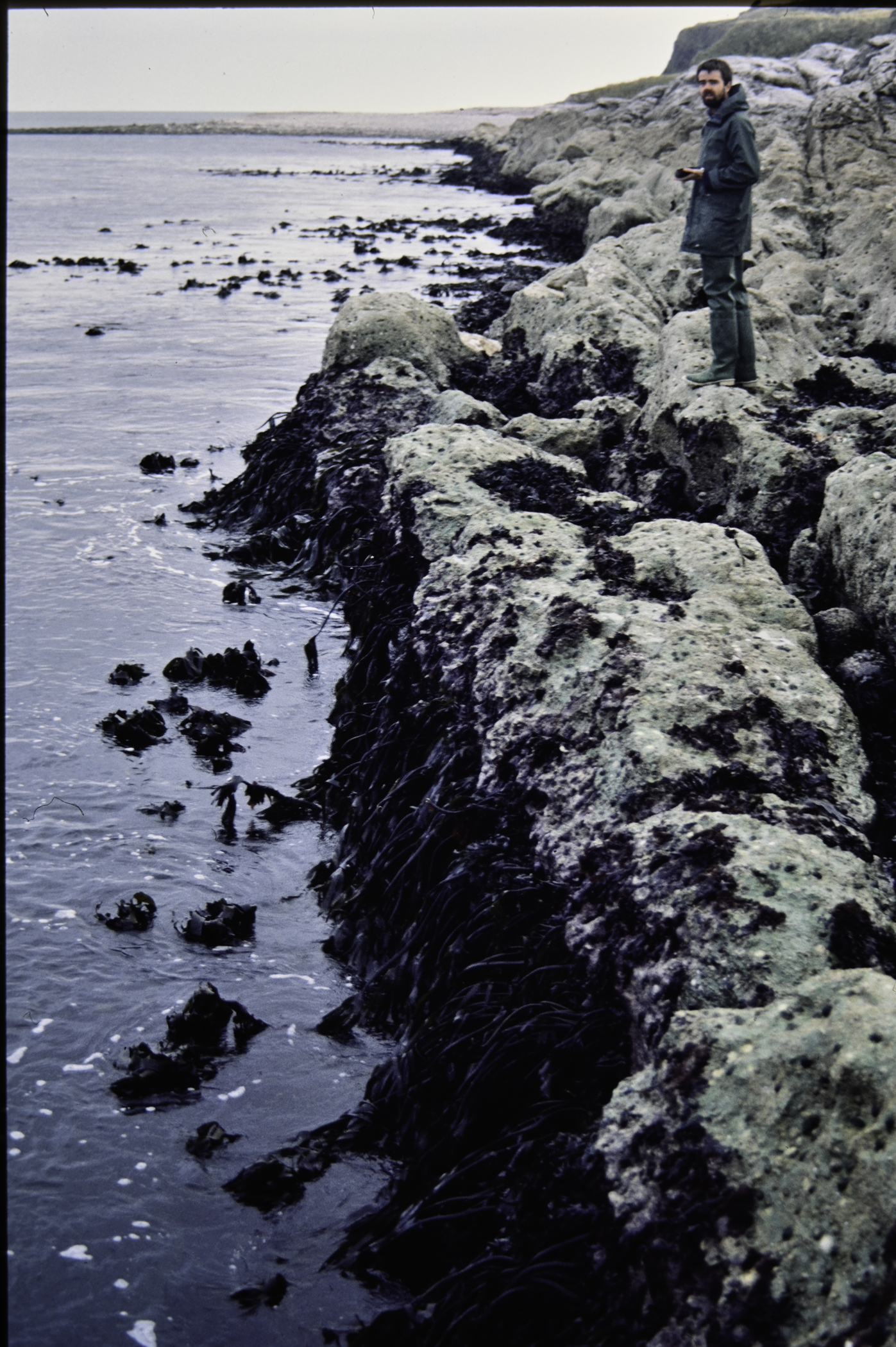 . Site: Riding Stone, NE Coast. 