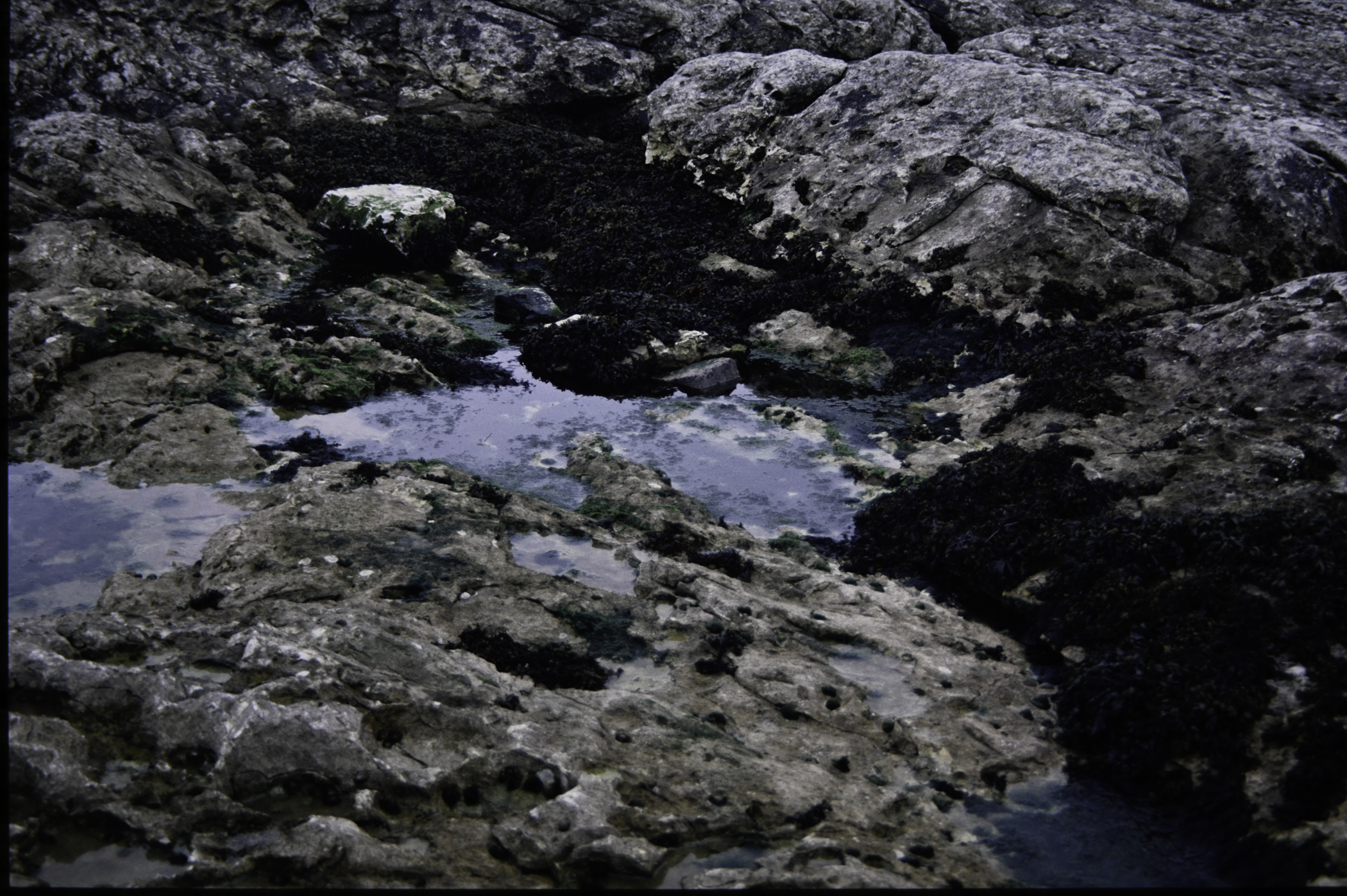 . Site: Riding Stone, NE Coast. 