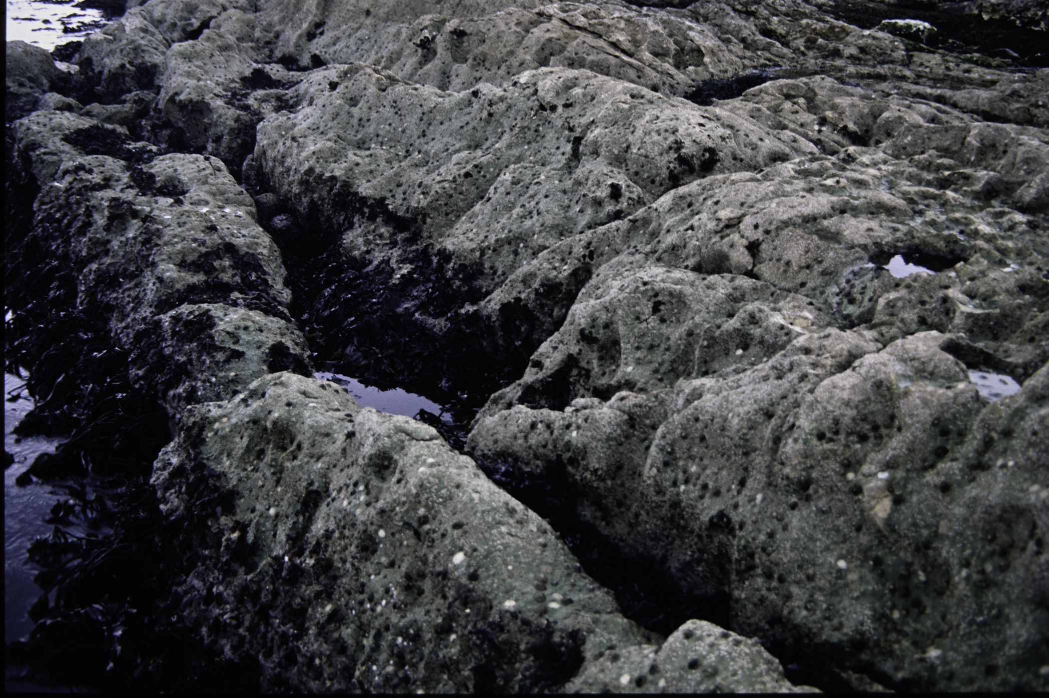 . Site: Riding Stone, NE Coast. 