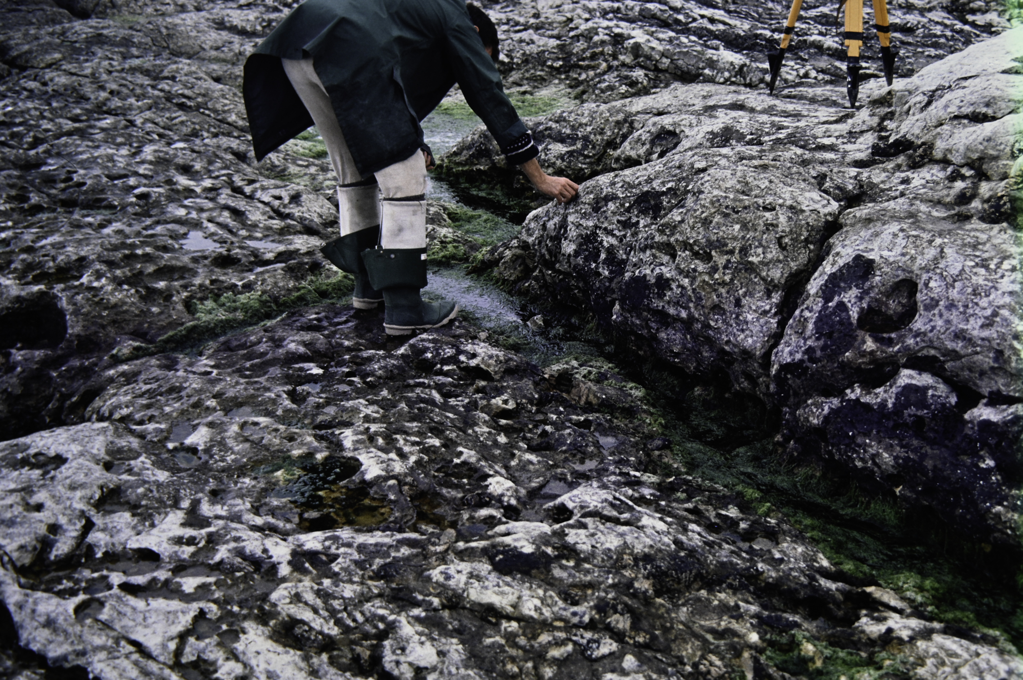 . Site: Riding Stone, NE Coast. 