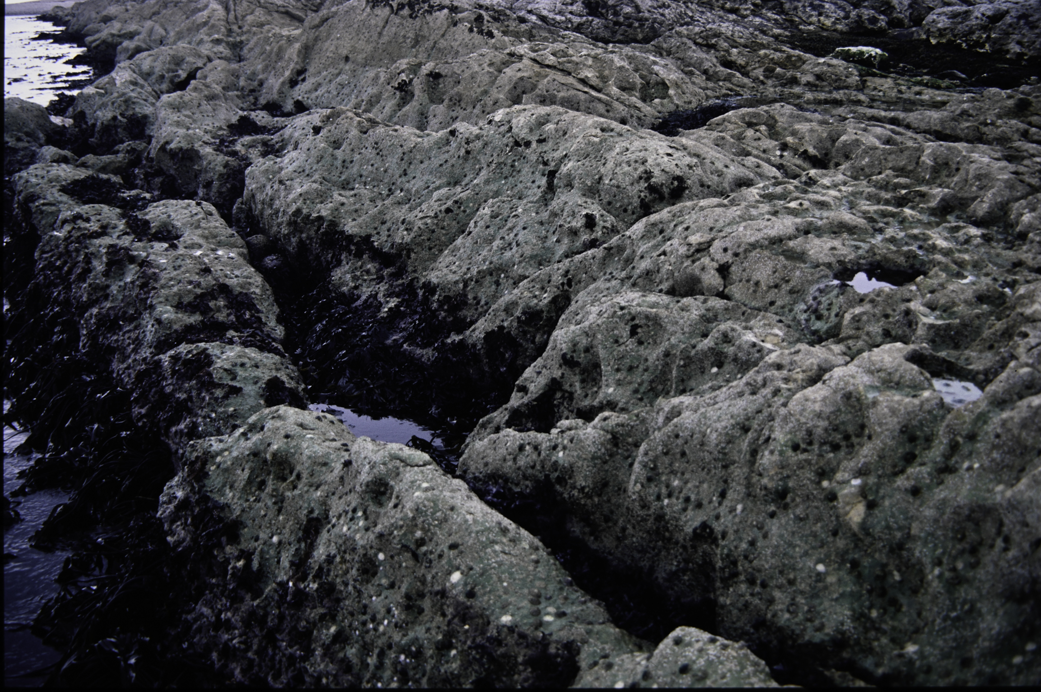 . Site: Riding Stone, NE Coast. 