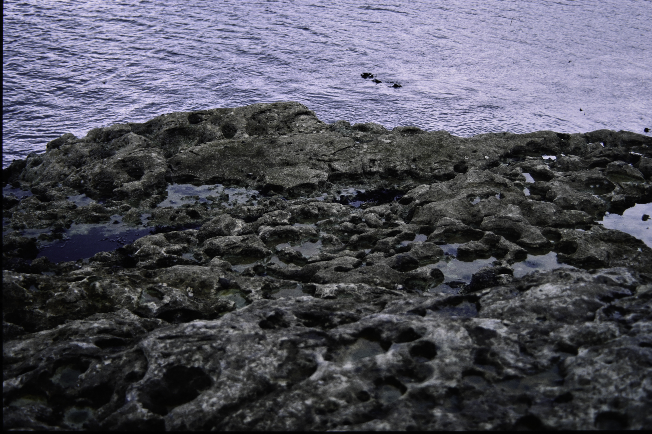 . Site: Riding Stone, NE Coast. 