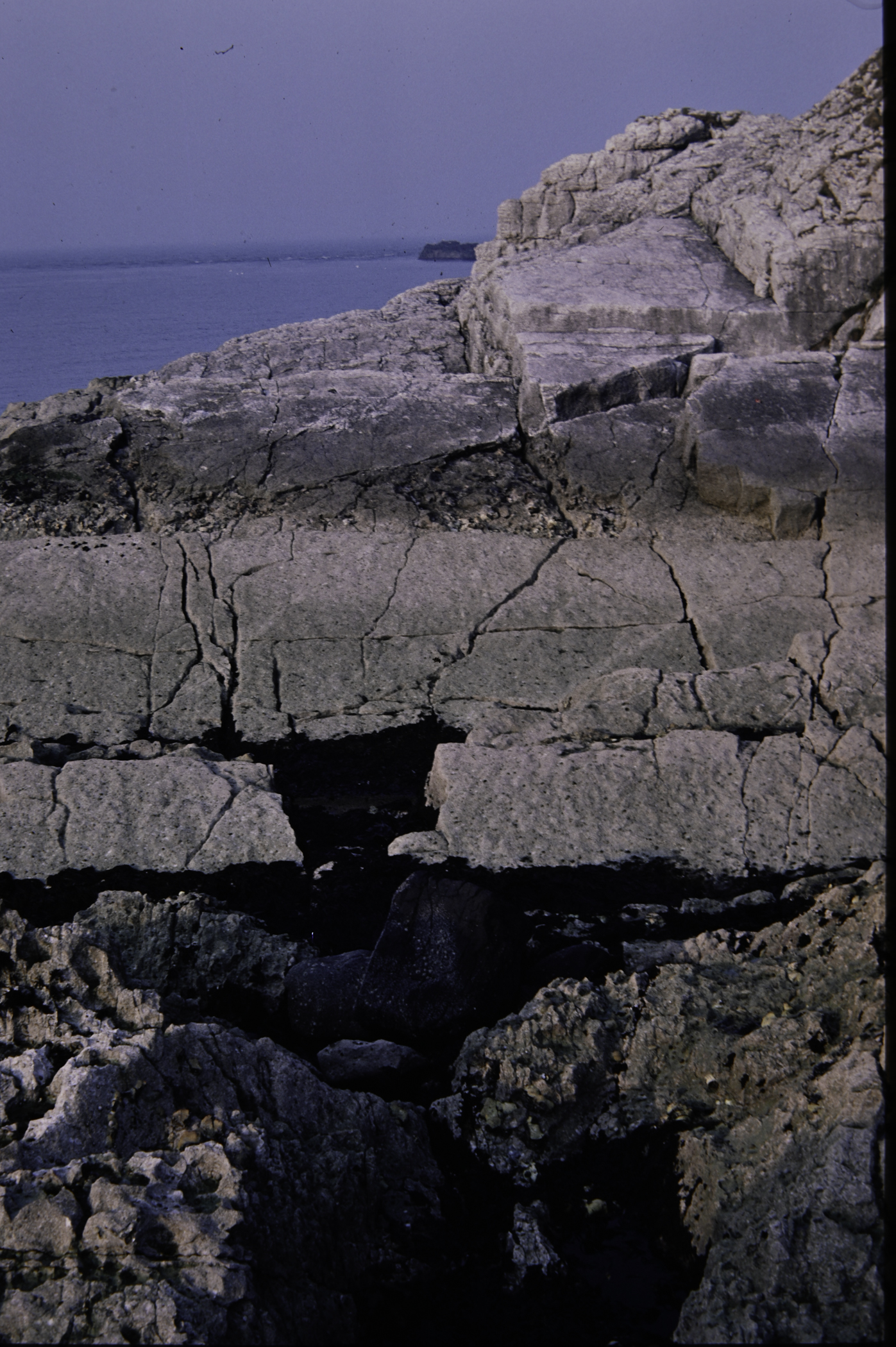 . Site: Isle of Muck (east), NE Coast. 