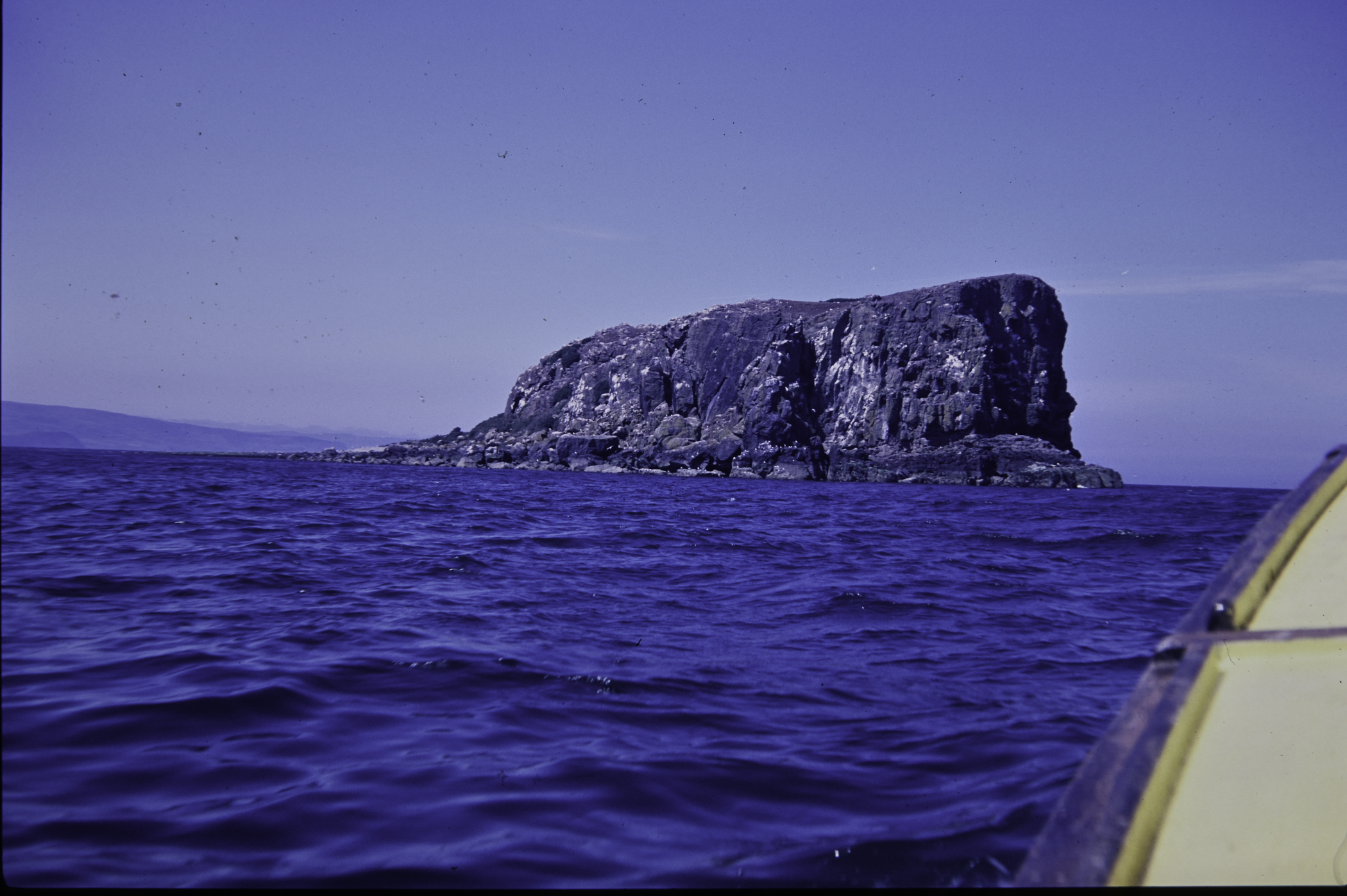 . Site: Isle of Muck (east), NE Coast. 