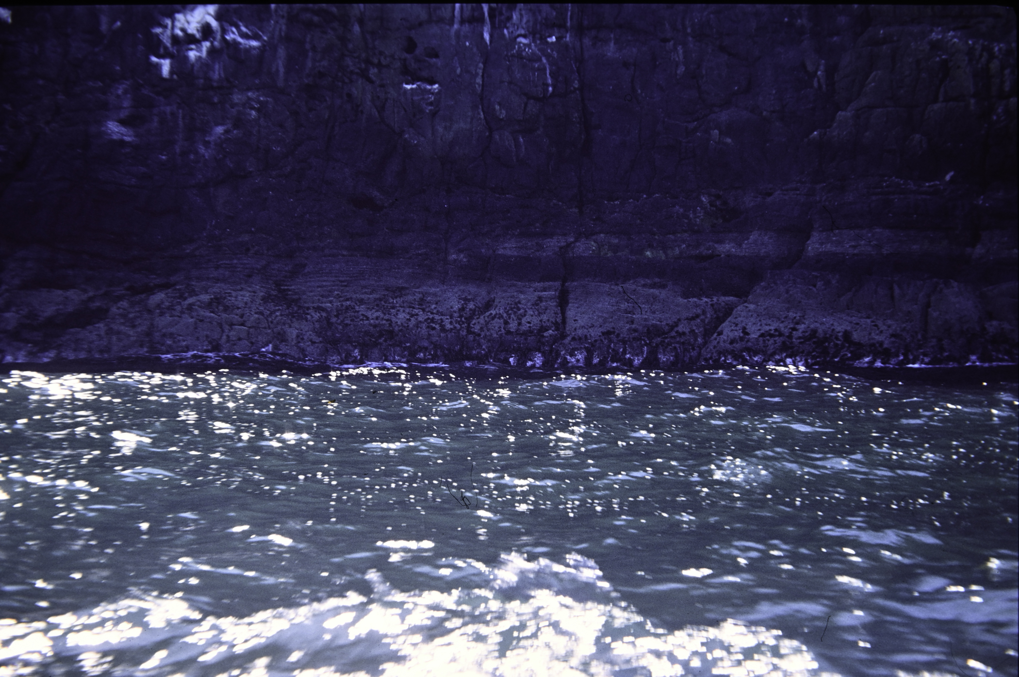 . Site: Isle of Muck (east), NE Coast. 