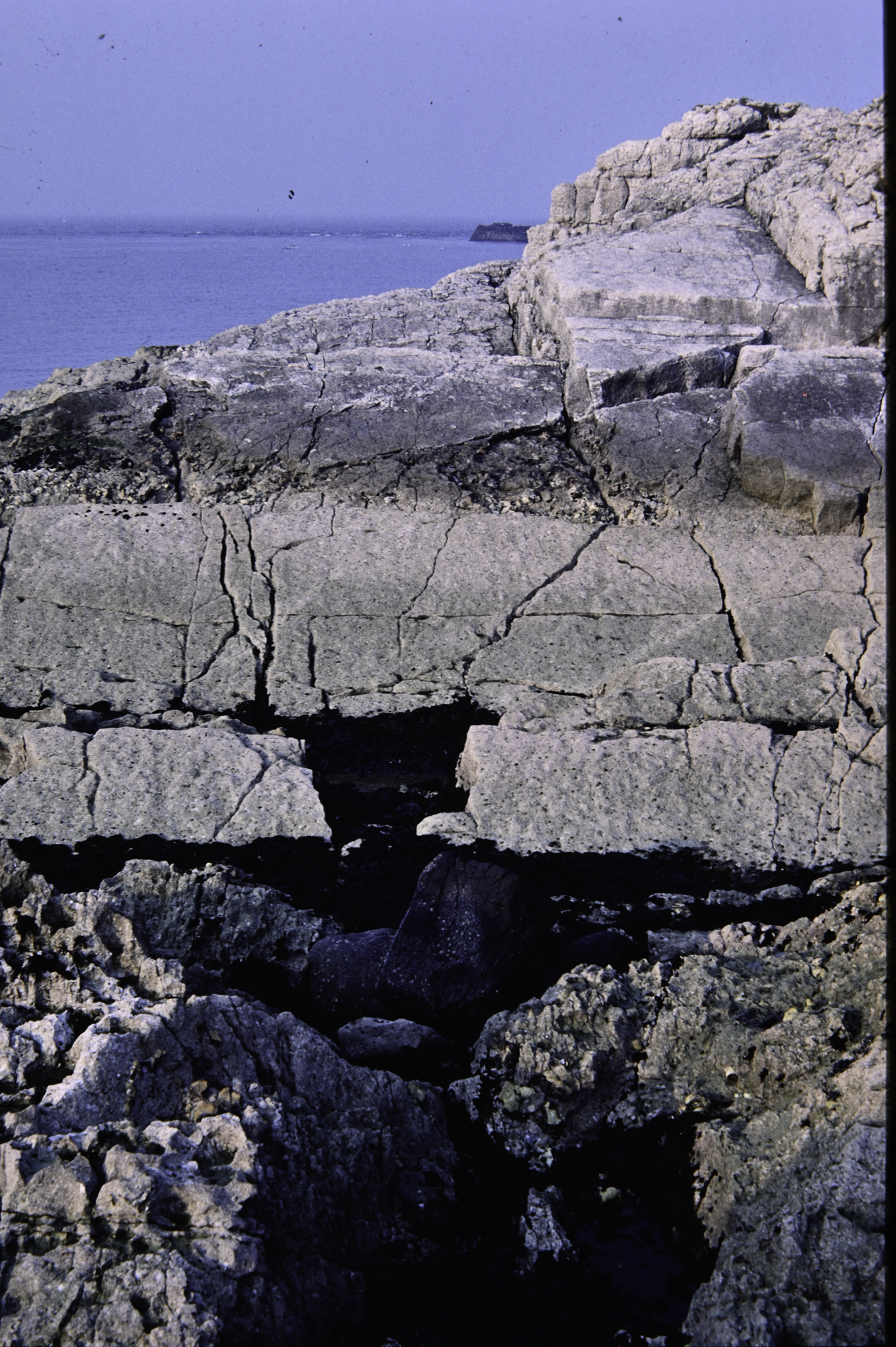 . Site: Isle of Muck (east), NE Coast. 