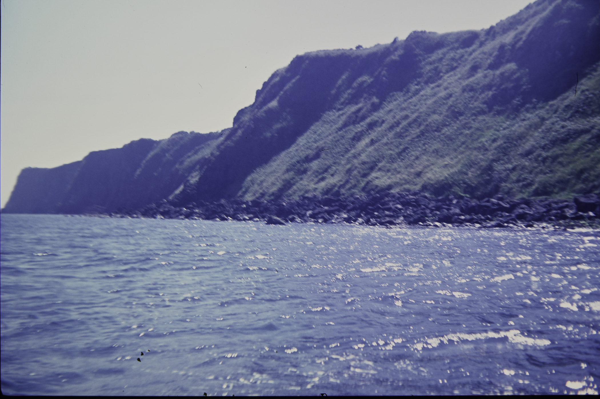 . Site: Chapman's Rock, NE Coast. 