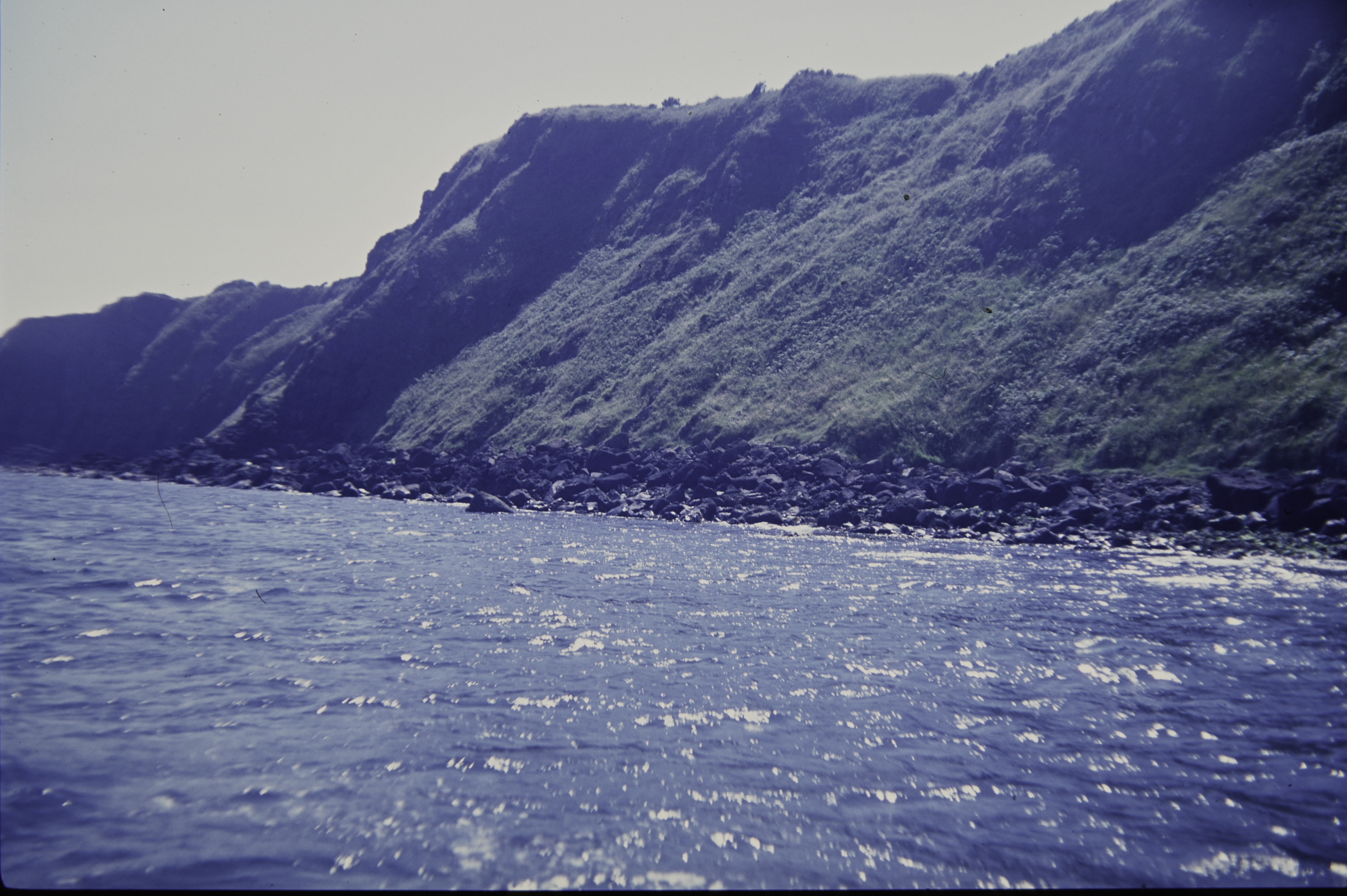 . Site: Chapman's Rock, NE Coast. 