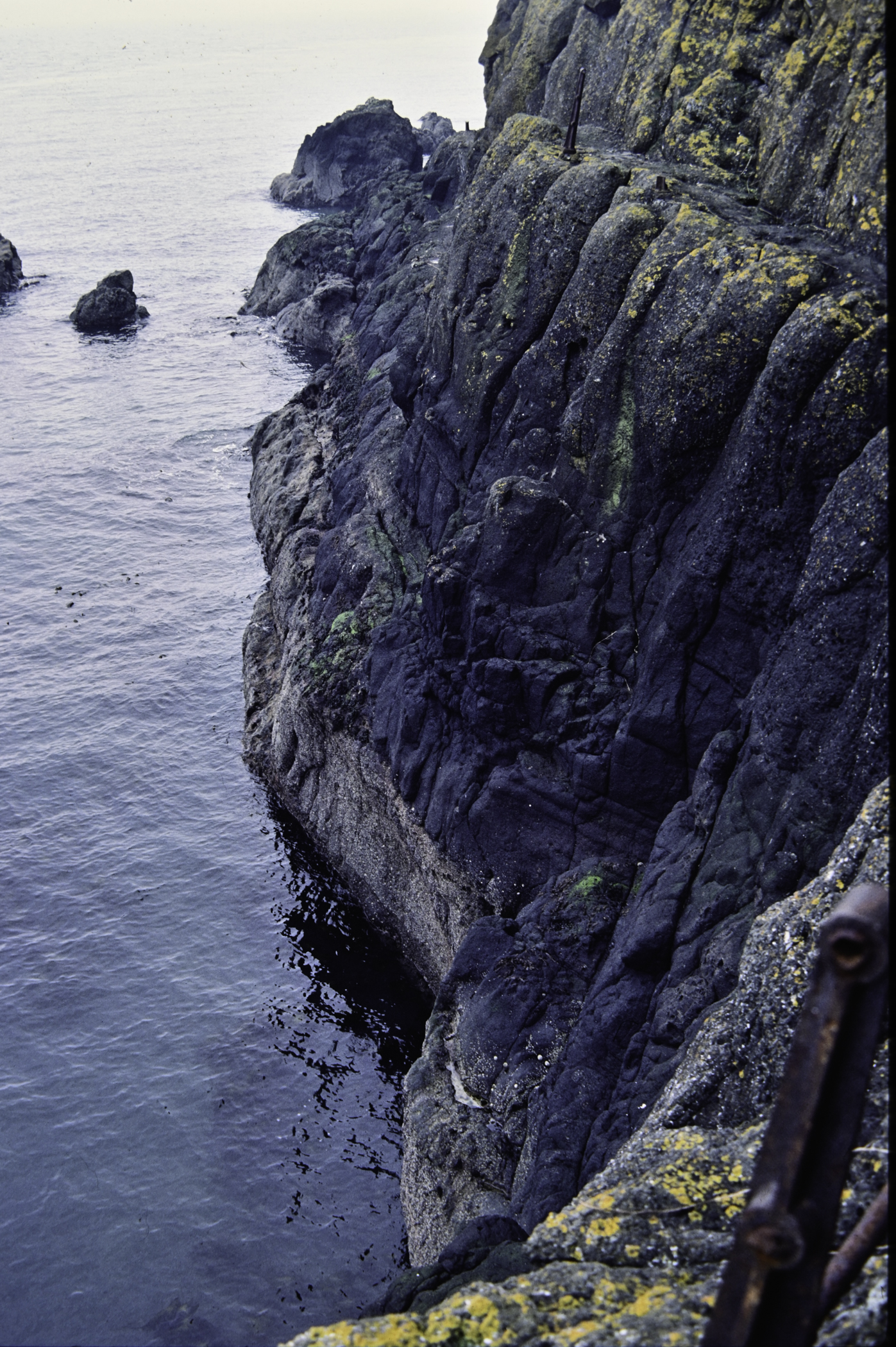 . Site: The Gobbins, NE Coast. 