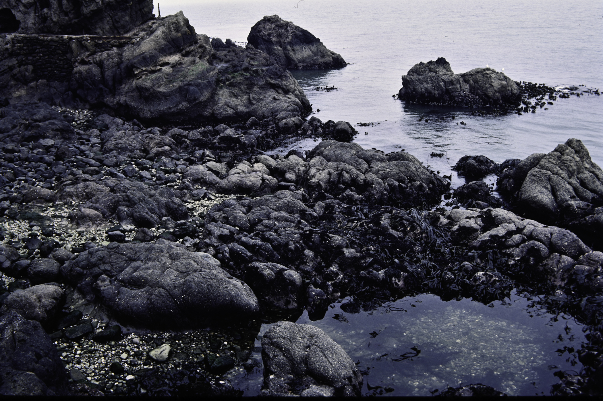 . Site: The Gobbins, NE Coast. 