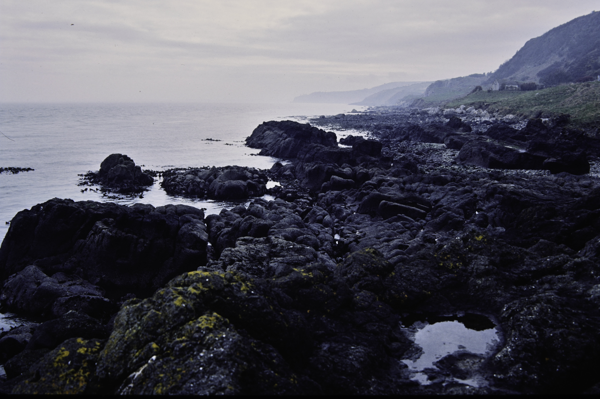 . Site: The Gobbins, NE Coast. 