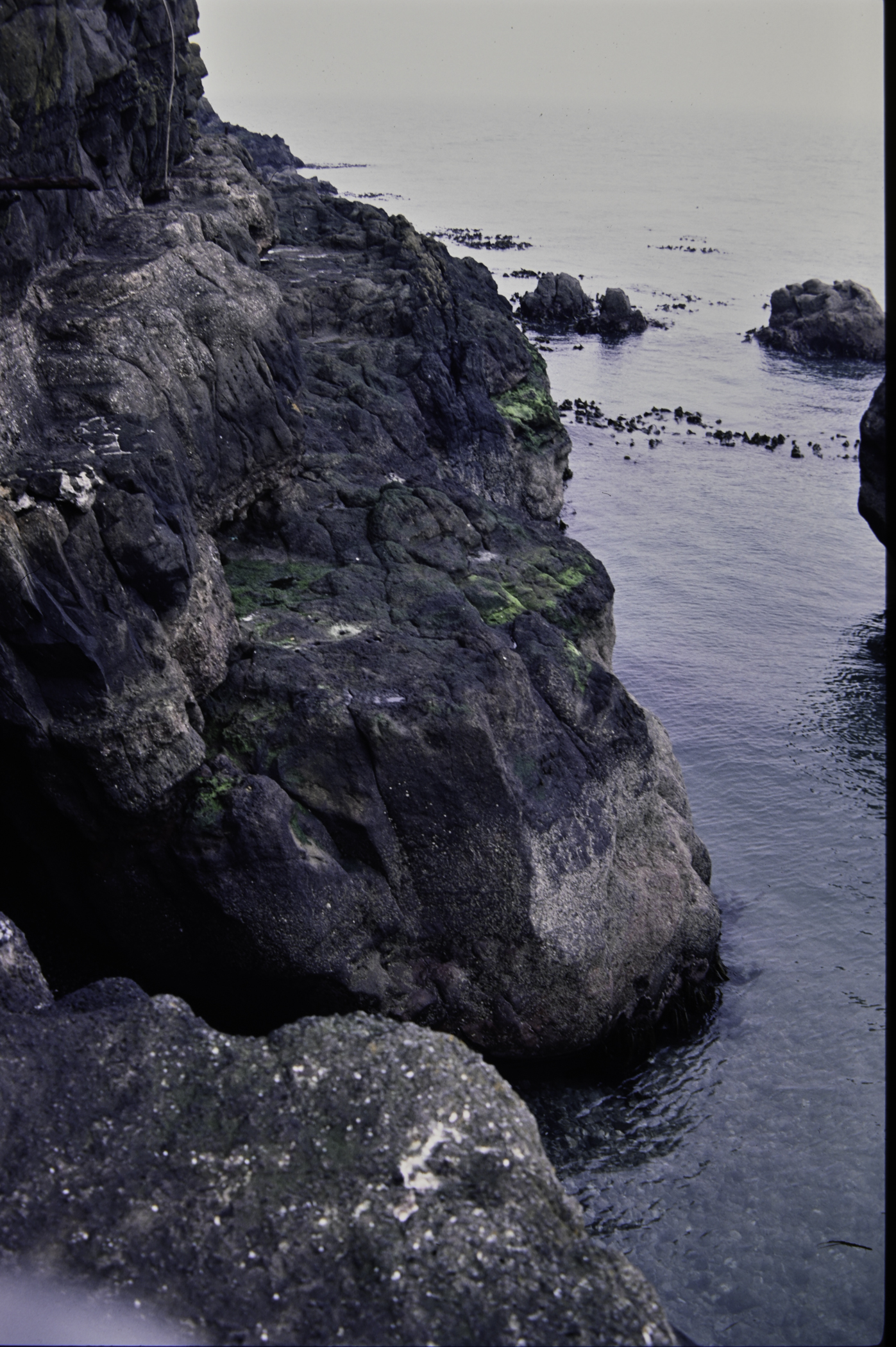 . Site: The Gobbins, NE Coast. 