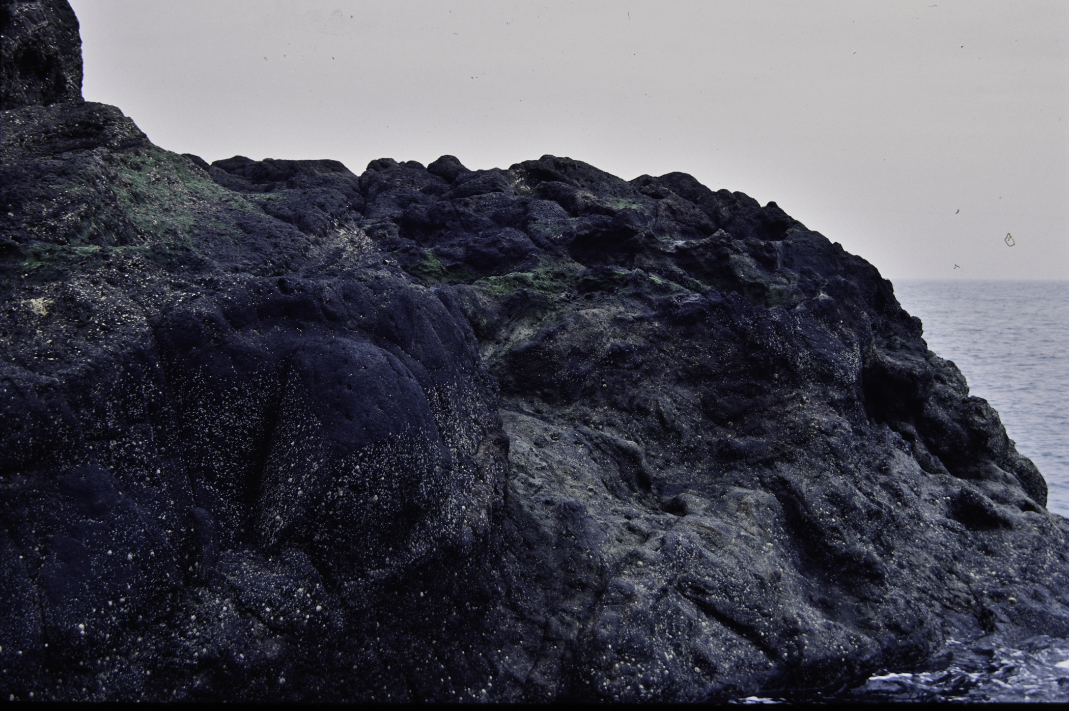 . Site: The Gobbins, NE Coast. 