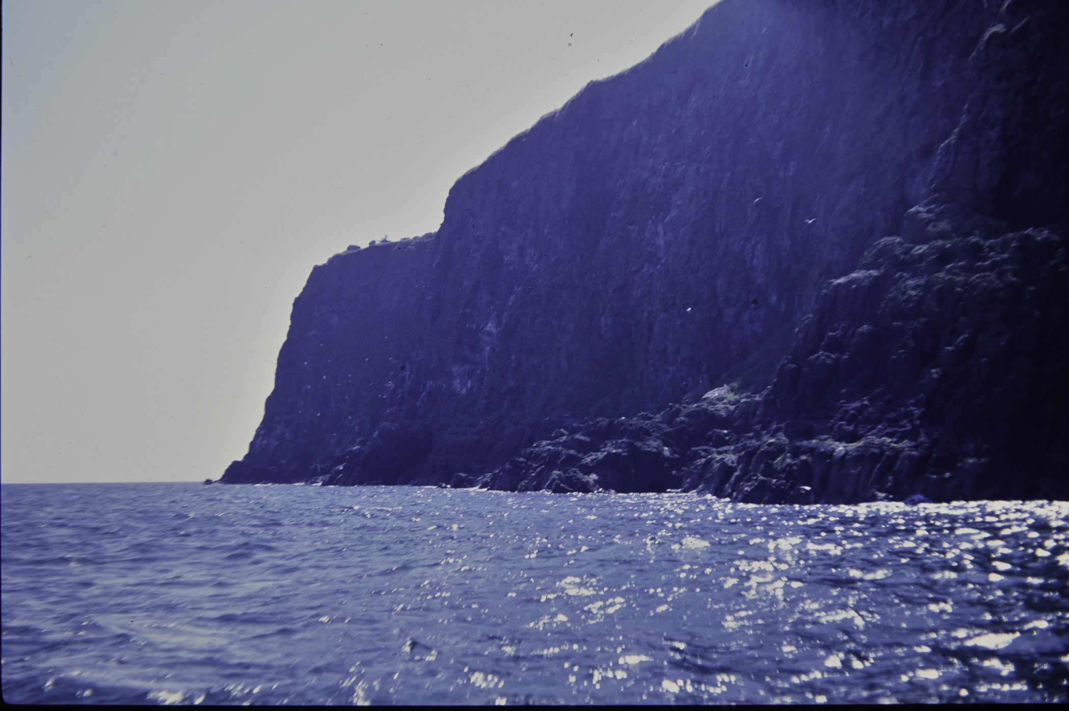 . Site: The Gobbins, NE Coast. 