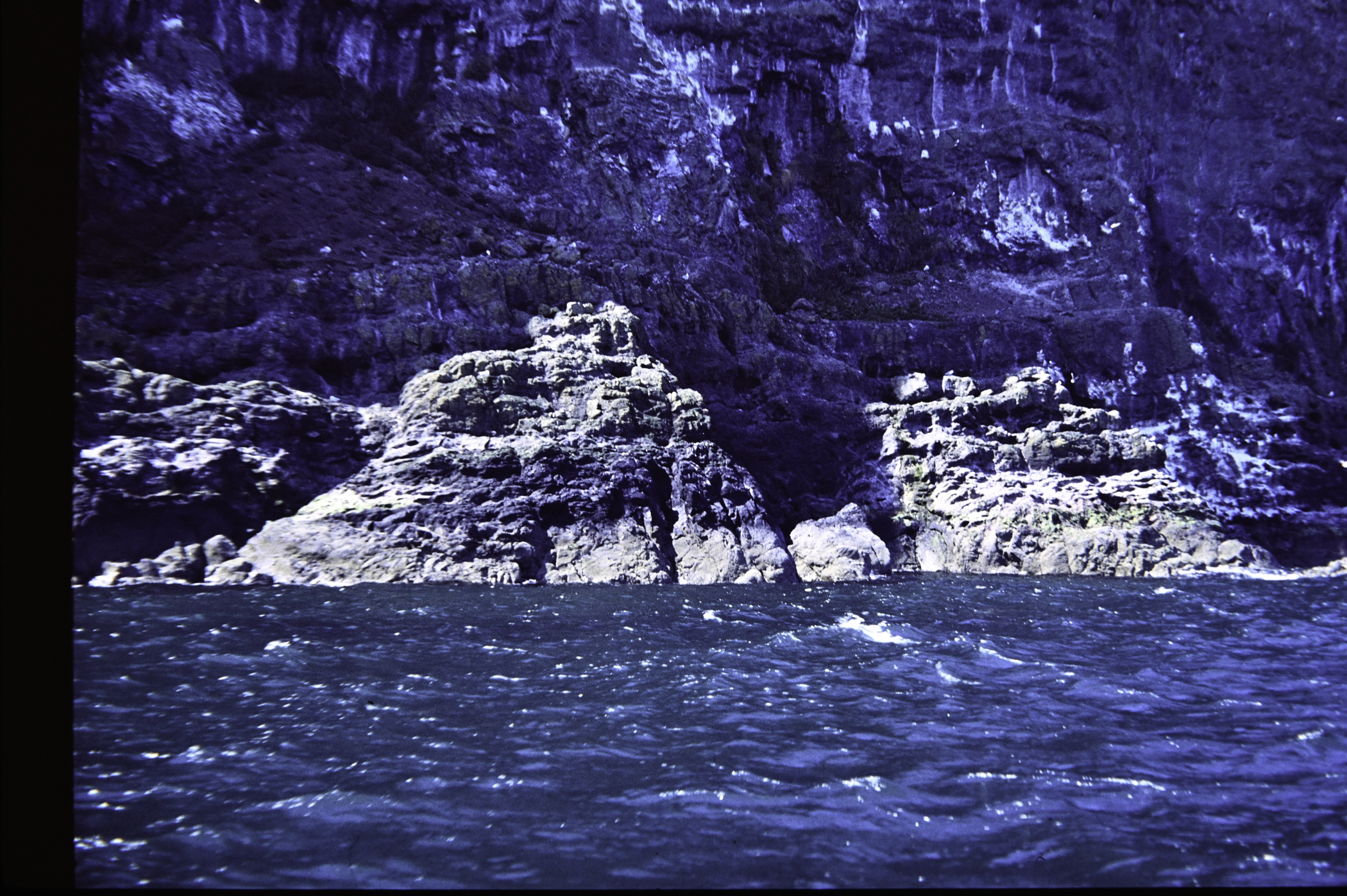 . Site: The Gobbins, NE Coast. 