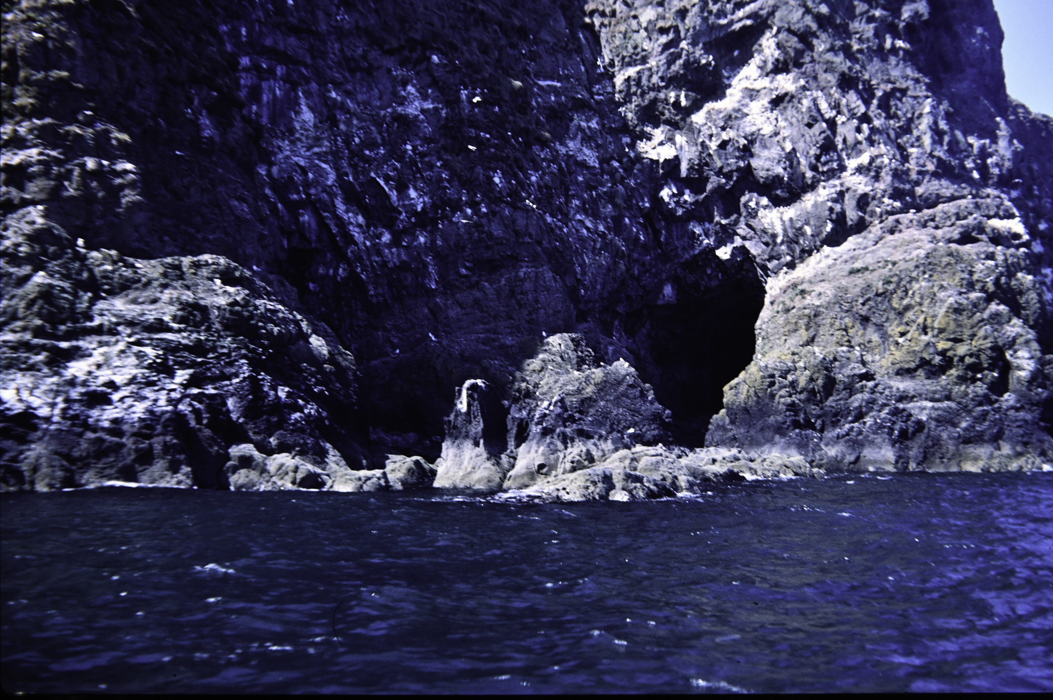 . Site: The Gobbins, NE Coast. 