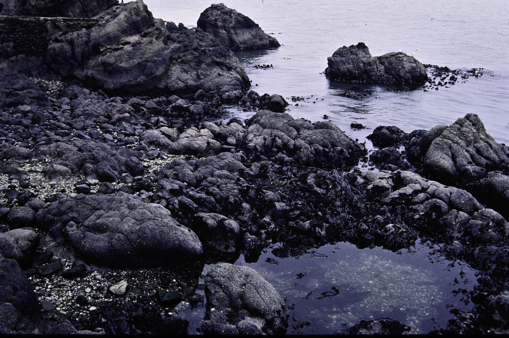 . Site: The Gobbins, NE Coast. 