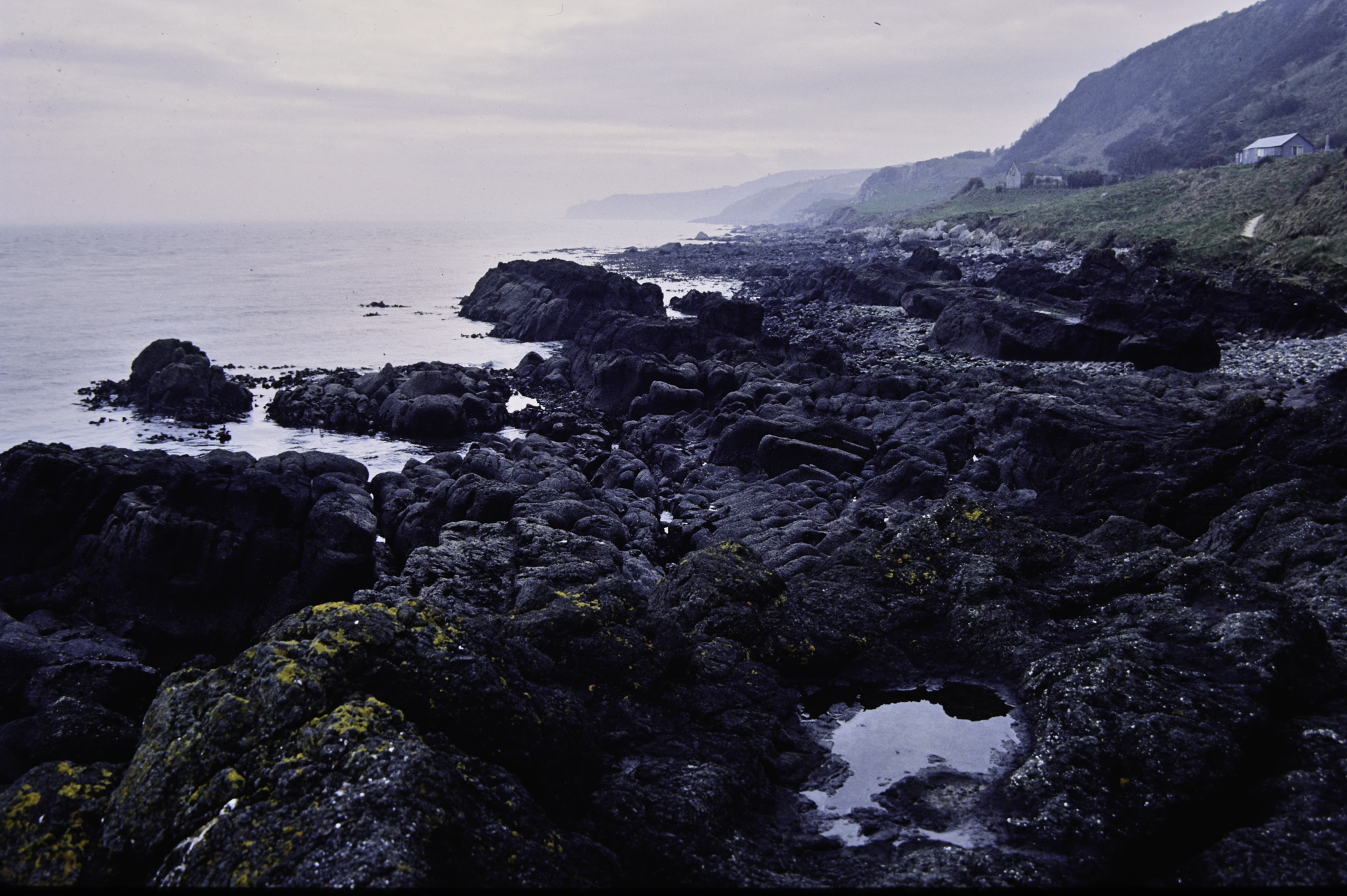 . Site: The Gobbins, NE Coast. 