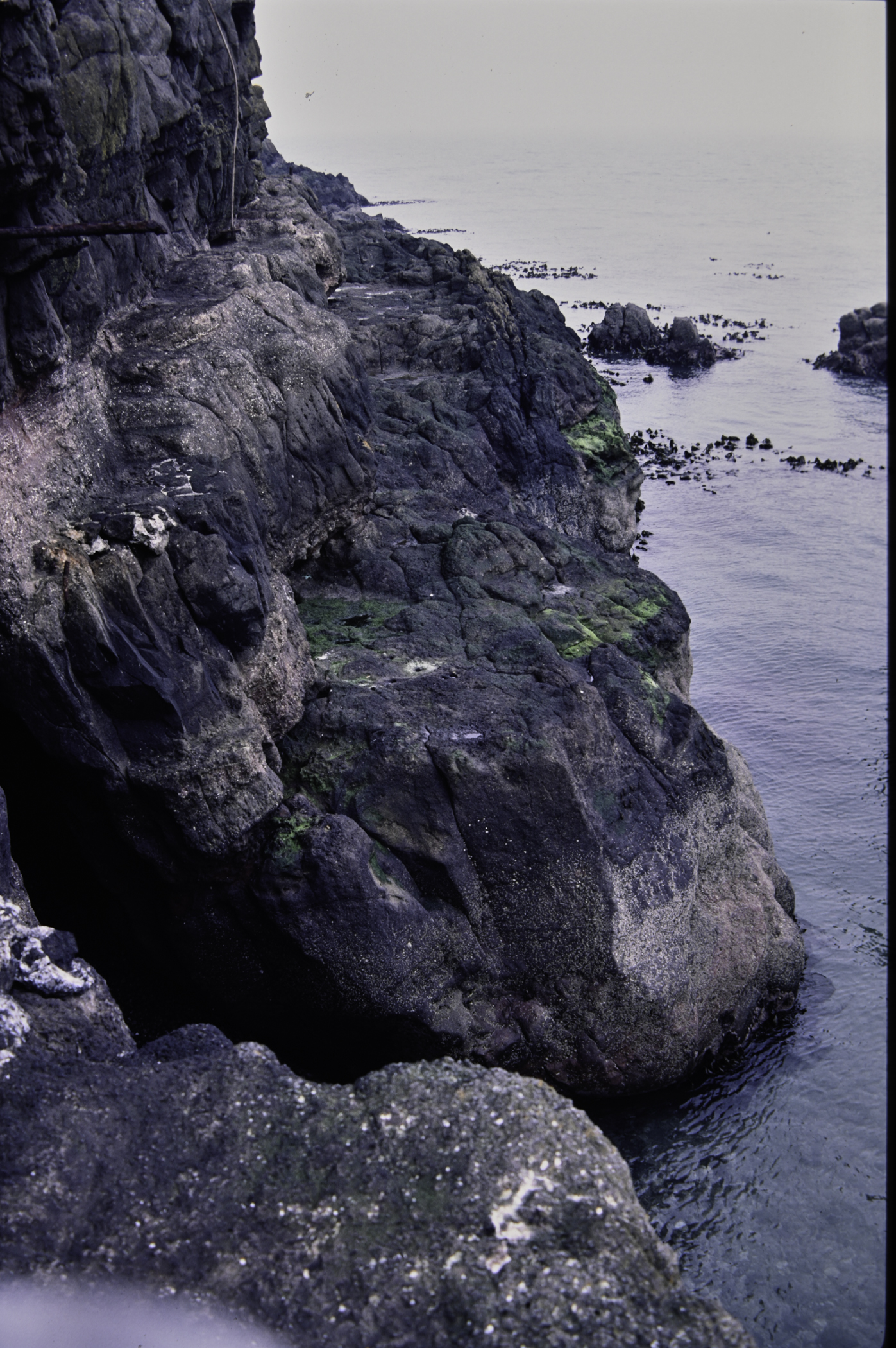 . Site: The Gobbins, NE Coast. 