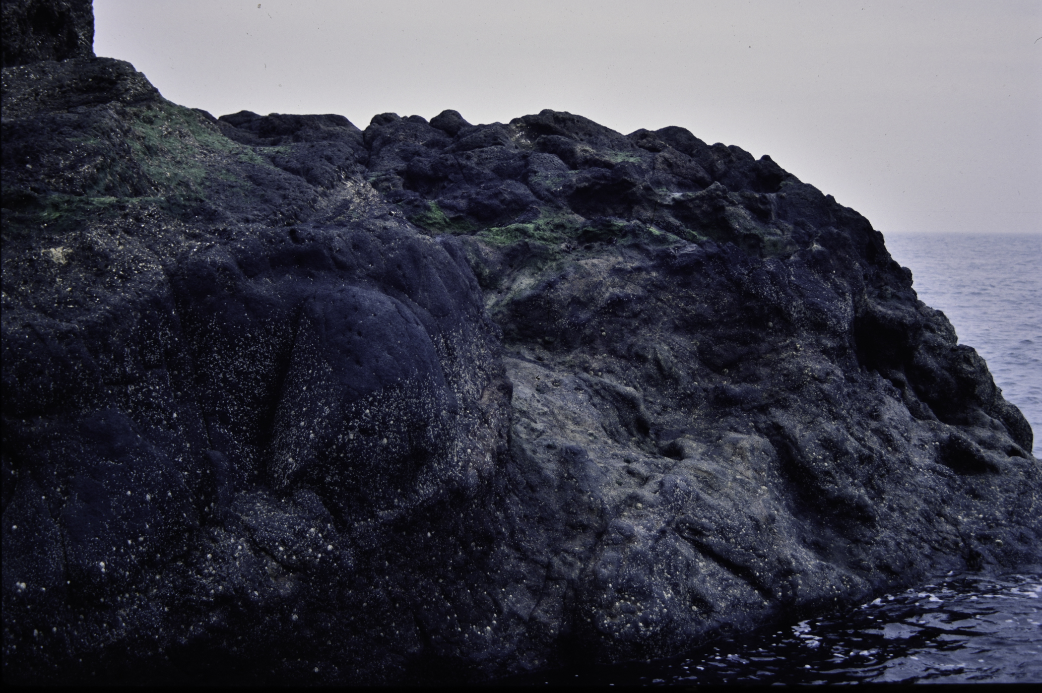 . Site: The Gobbins, NE Coast. 