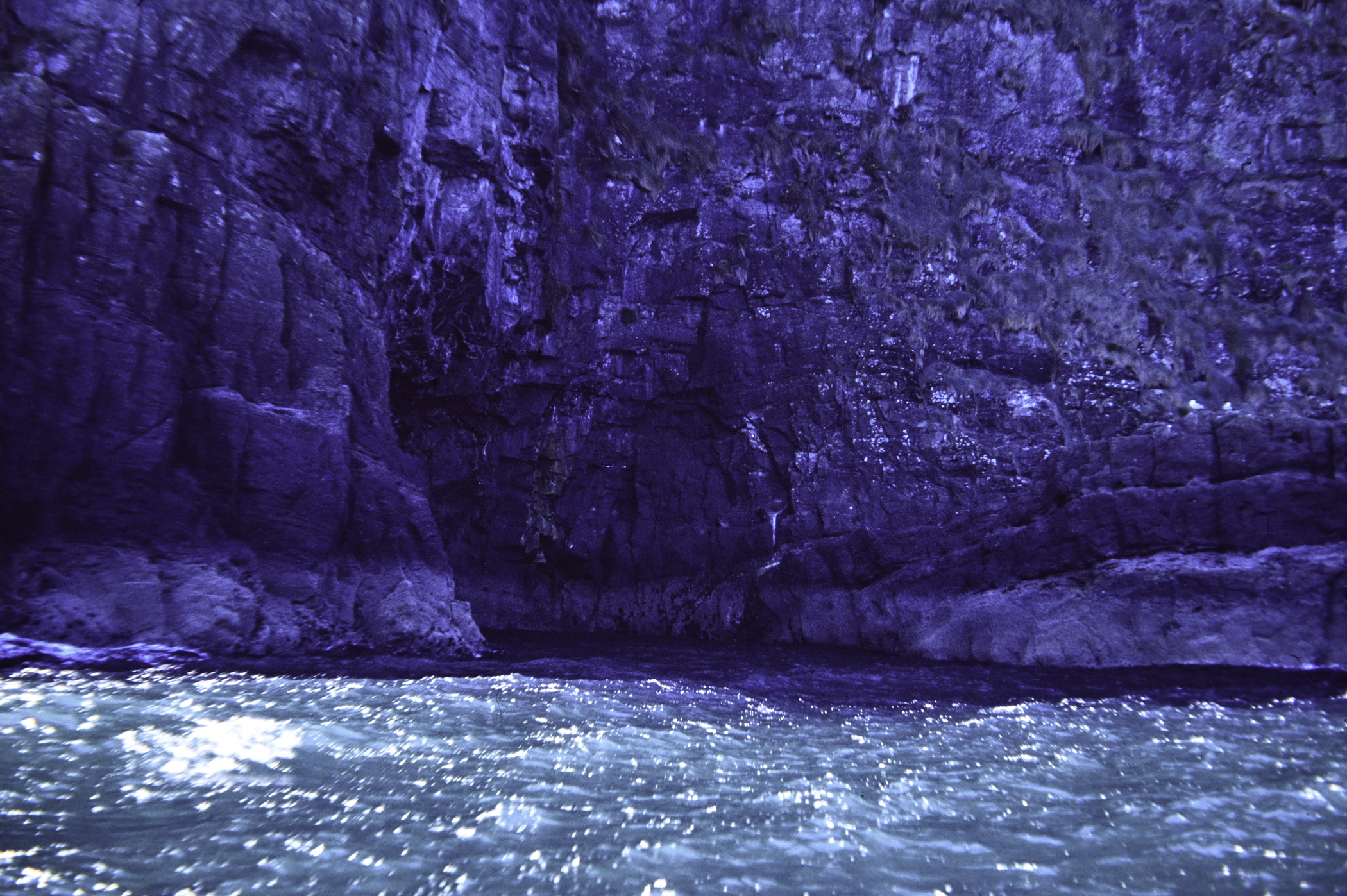 . Site: The Gobbins, NE Coast. 