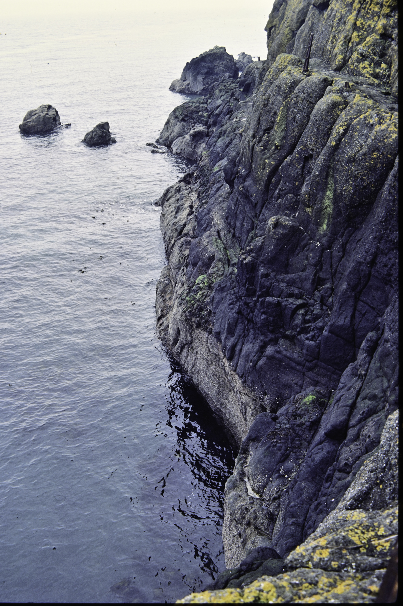 . Site: The Gobbins, NE Coast. 