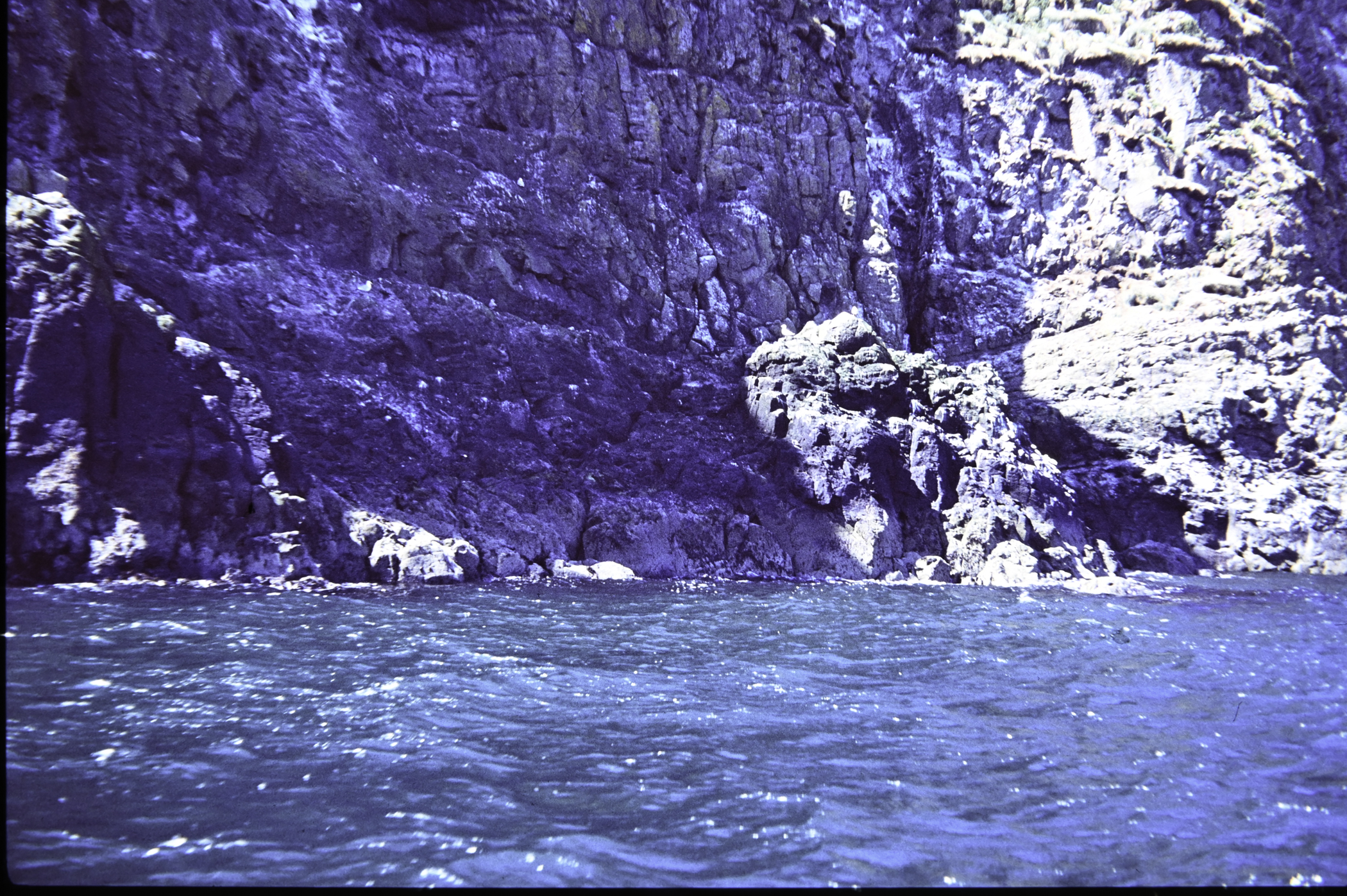 . Site: The Gobbins, NE Coast. 