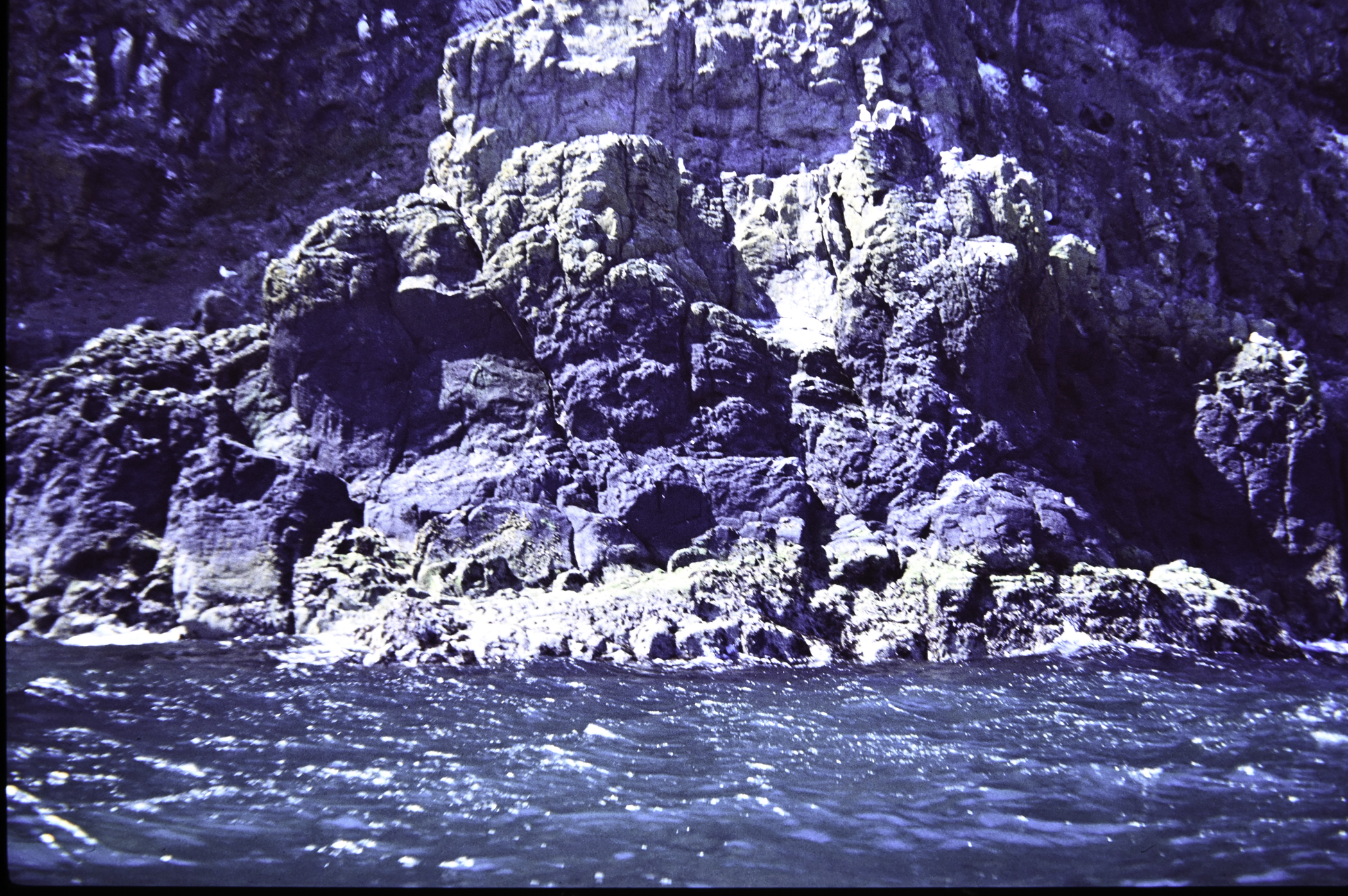 . Site: The Gobbins, NE Coast. 