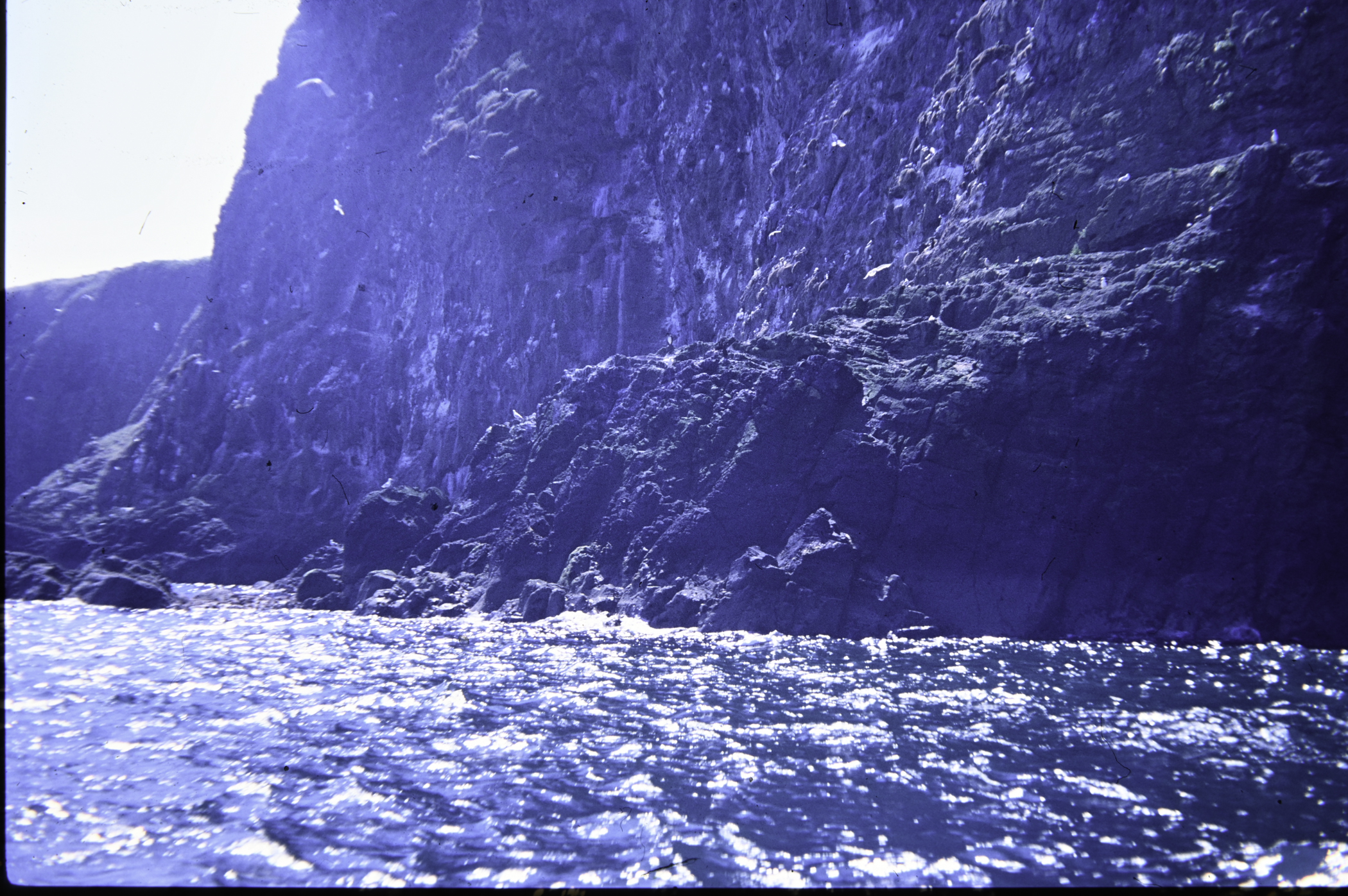 . Site: The Gobbins, NE Coast. 