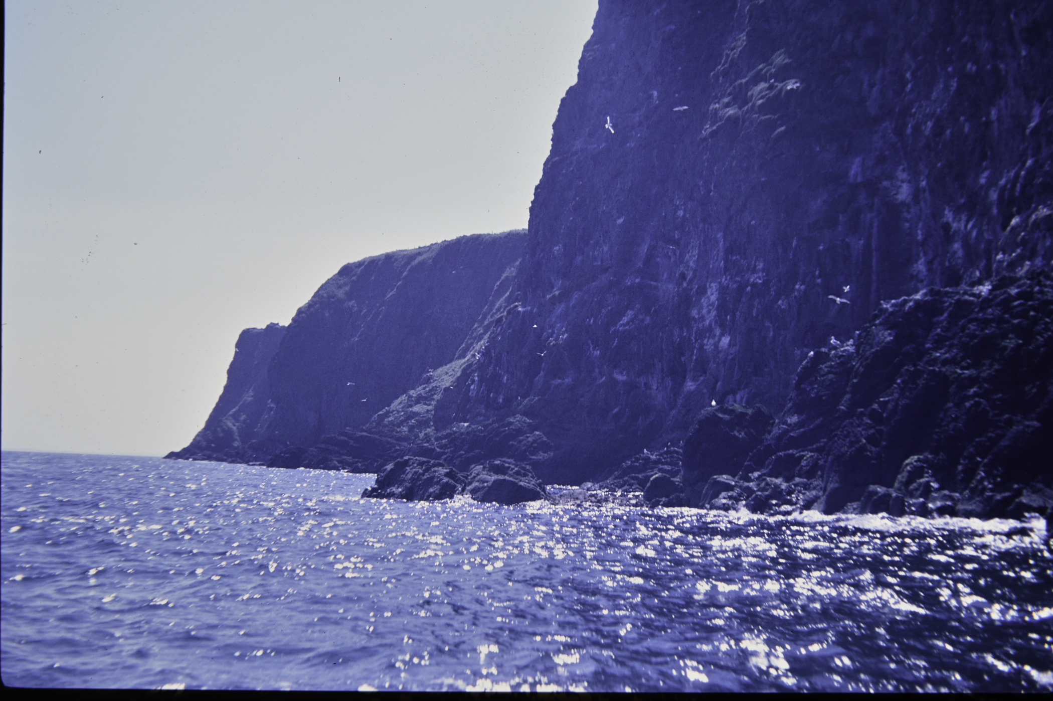 . Site: The Gobbins, NE Coast. 