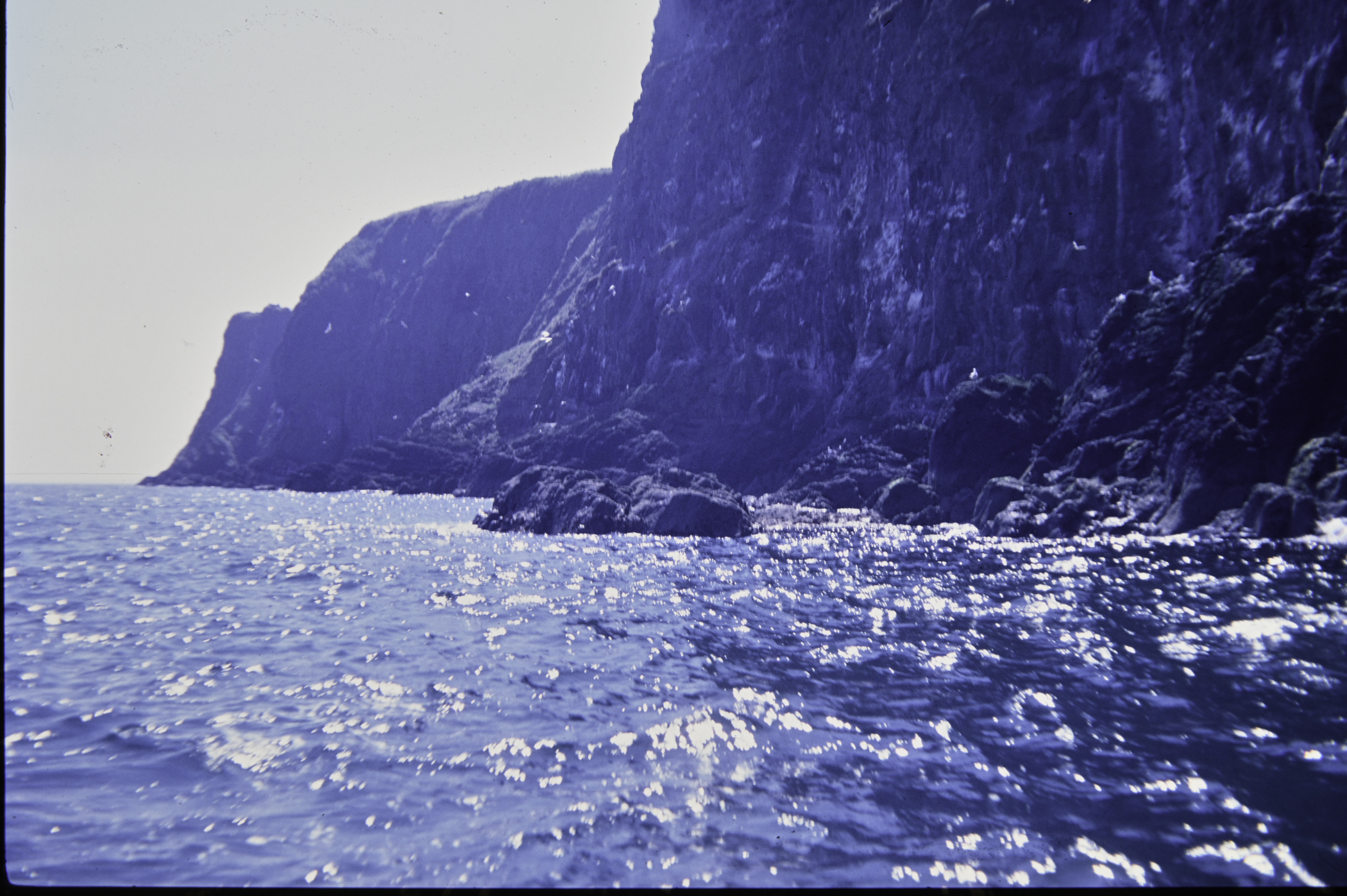 . Site: The Gobbins, NE Coast. 