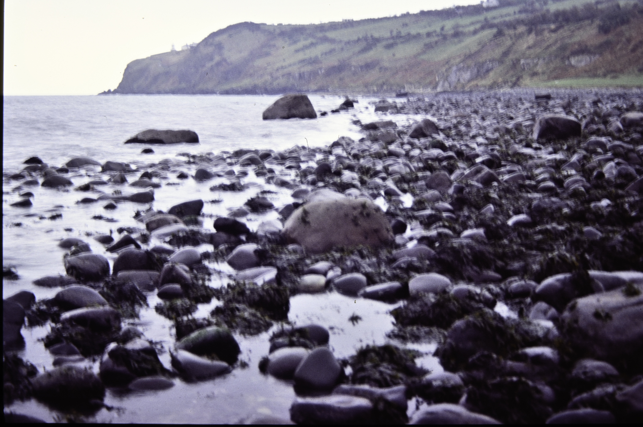 . Site: Marchburn Port, NE Coast. 