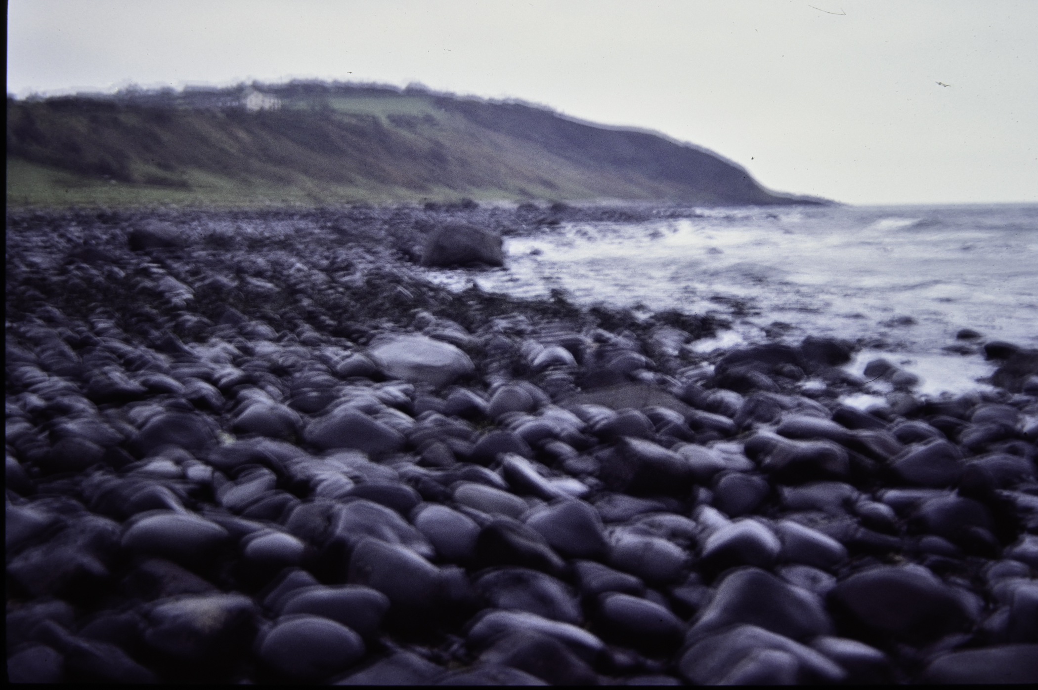 . Site: Marchburn Port, NE Coast. 