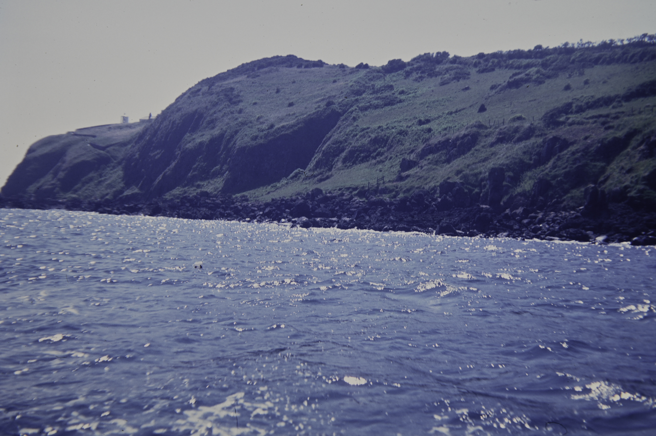 . Site: Black Head (east), NE Coast. 