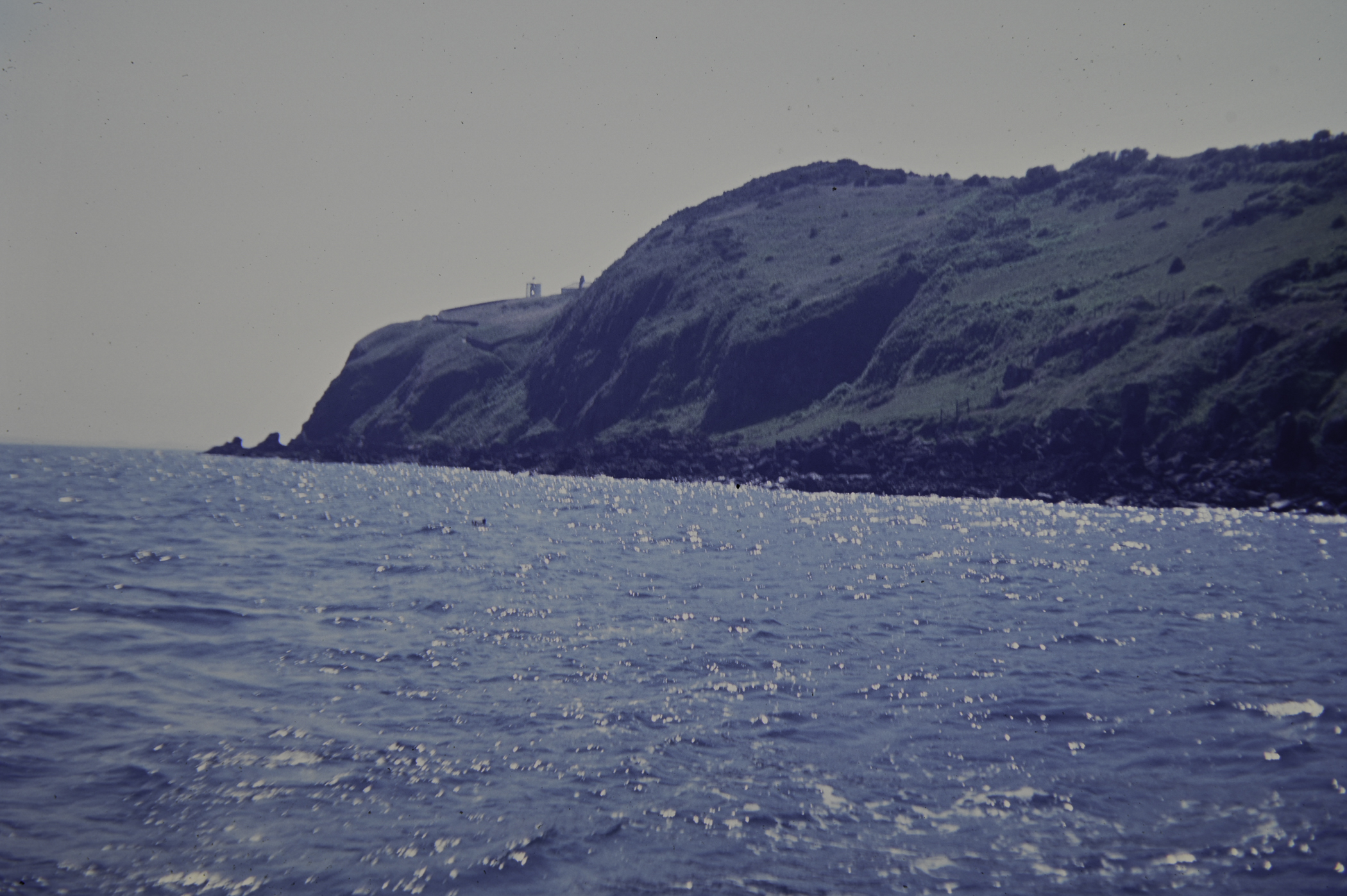 . Site: Black Head (east), NE Coast. 