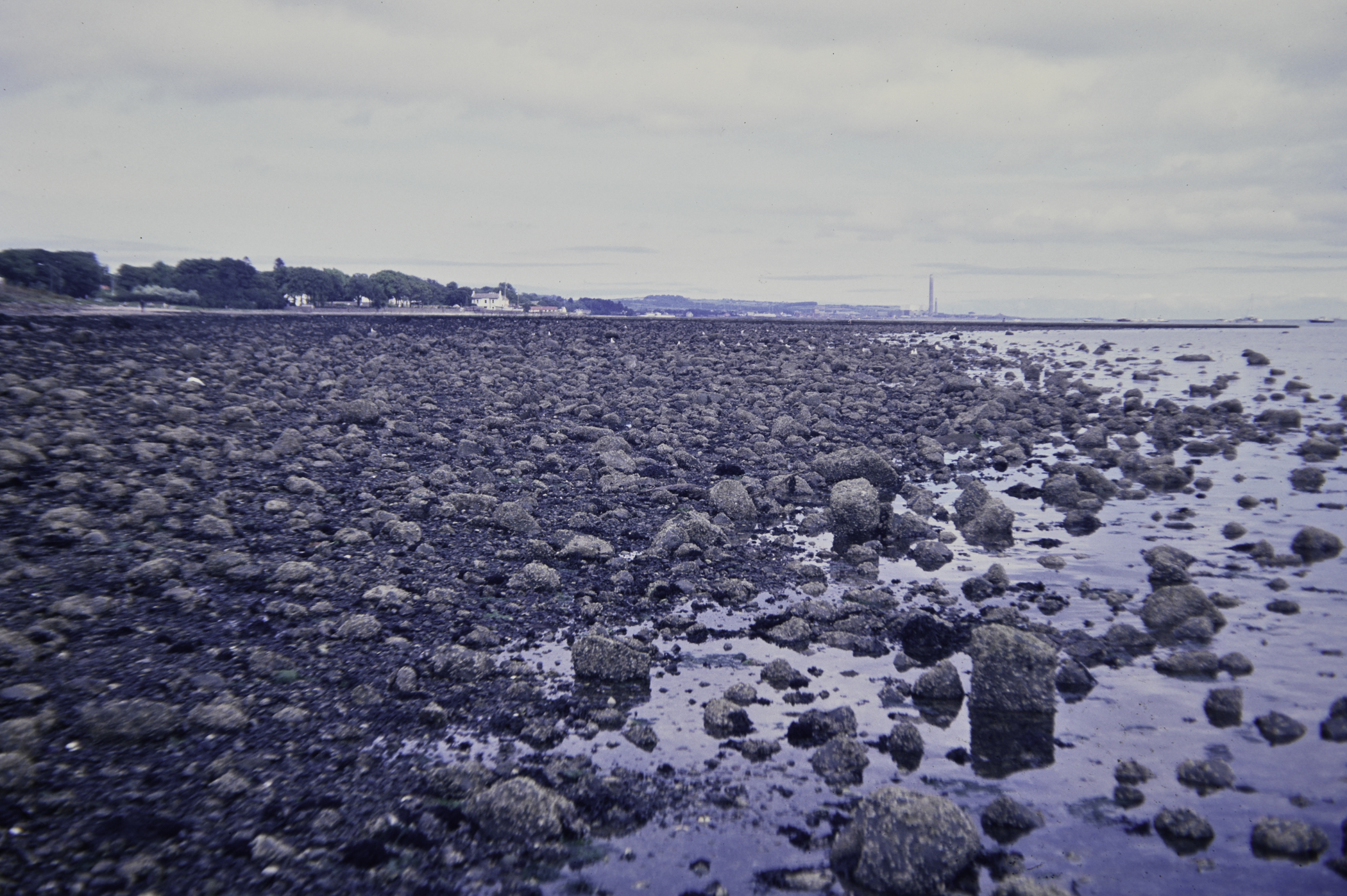 . Site: Loughshore Park, Belfast Lough. 