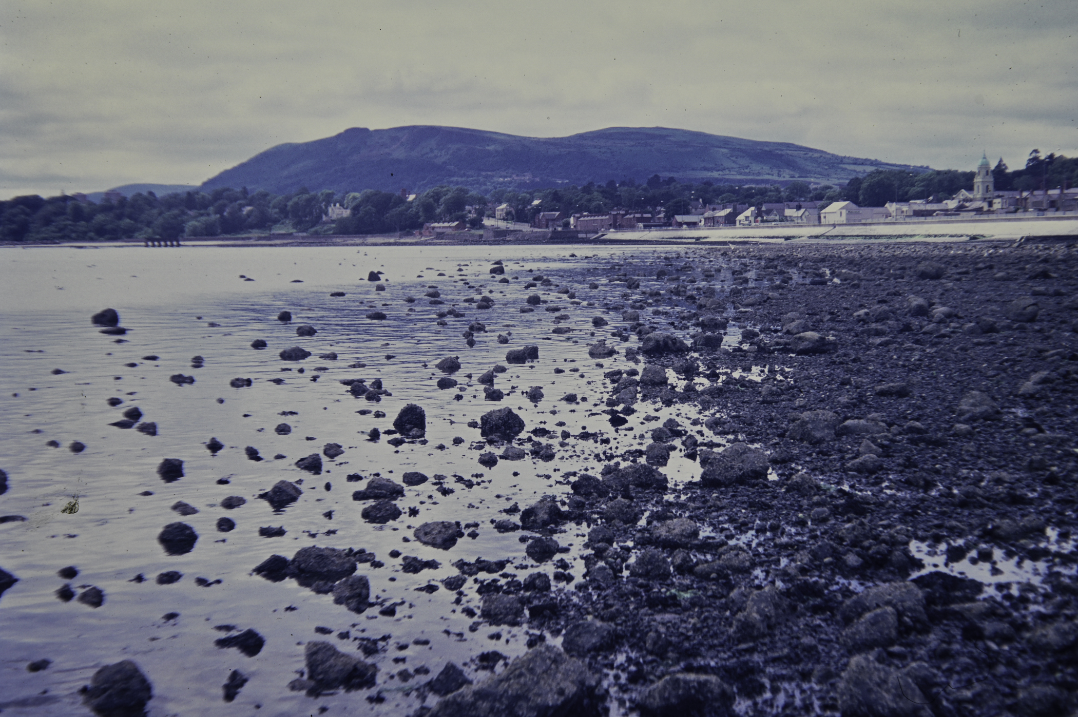 . Site: Loughshore Park, Belfast Lough. 