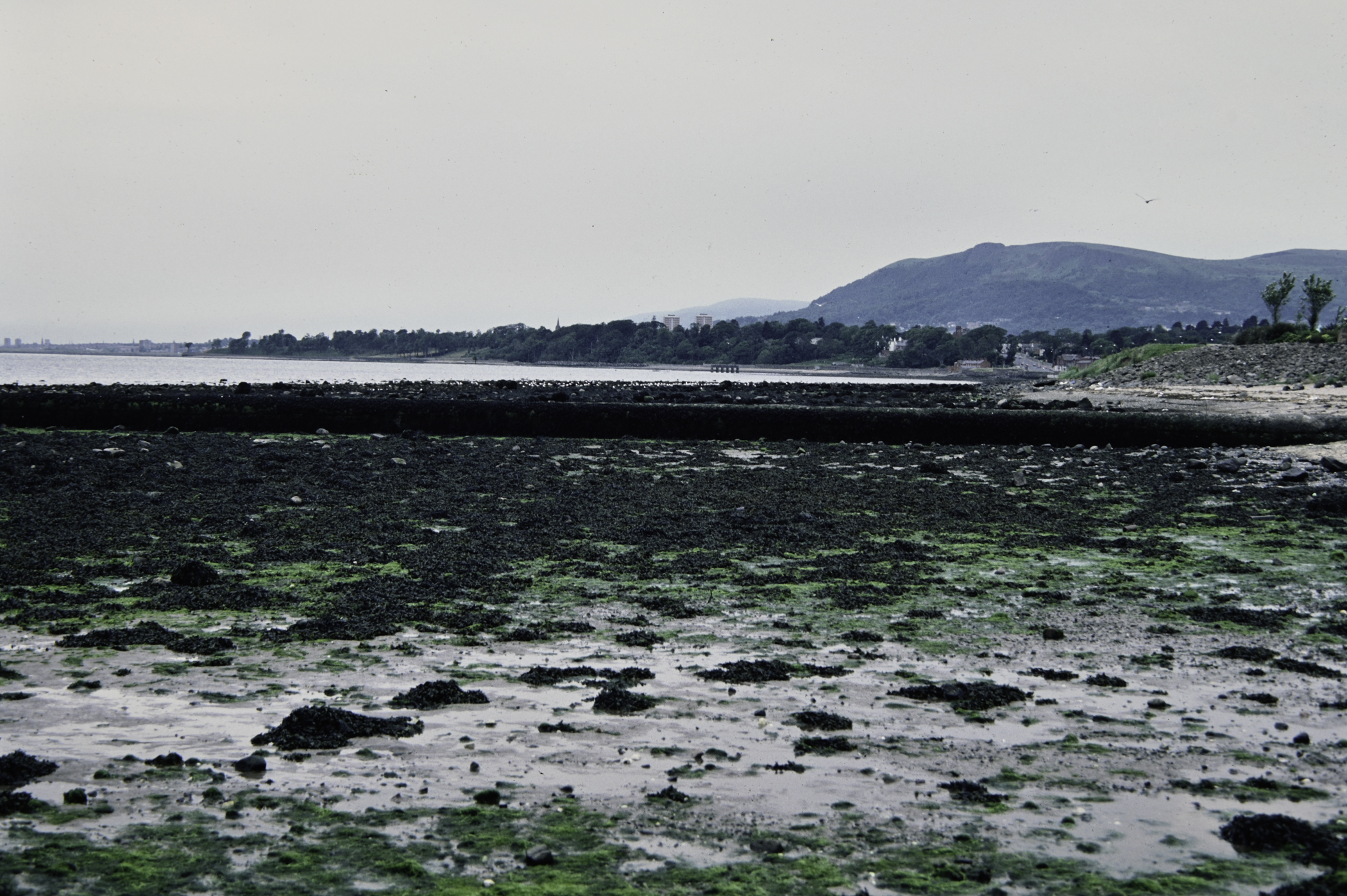 . Site: Loughshore Park, Belfast Lough. 