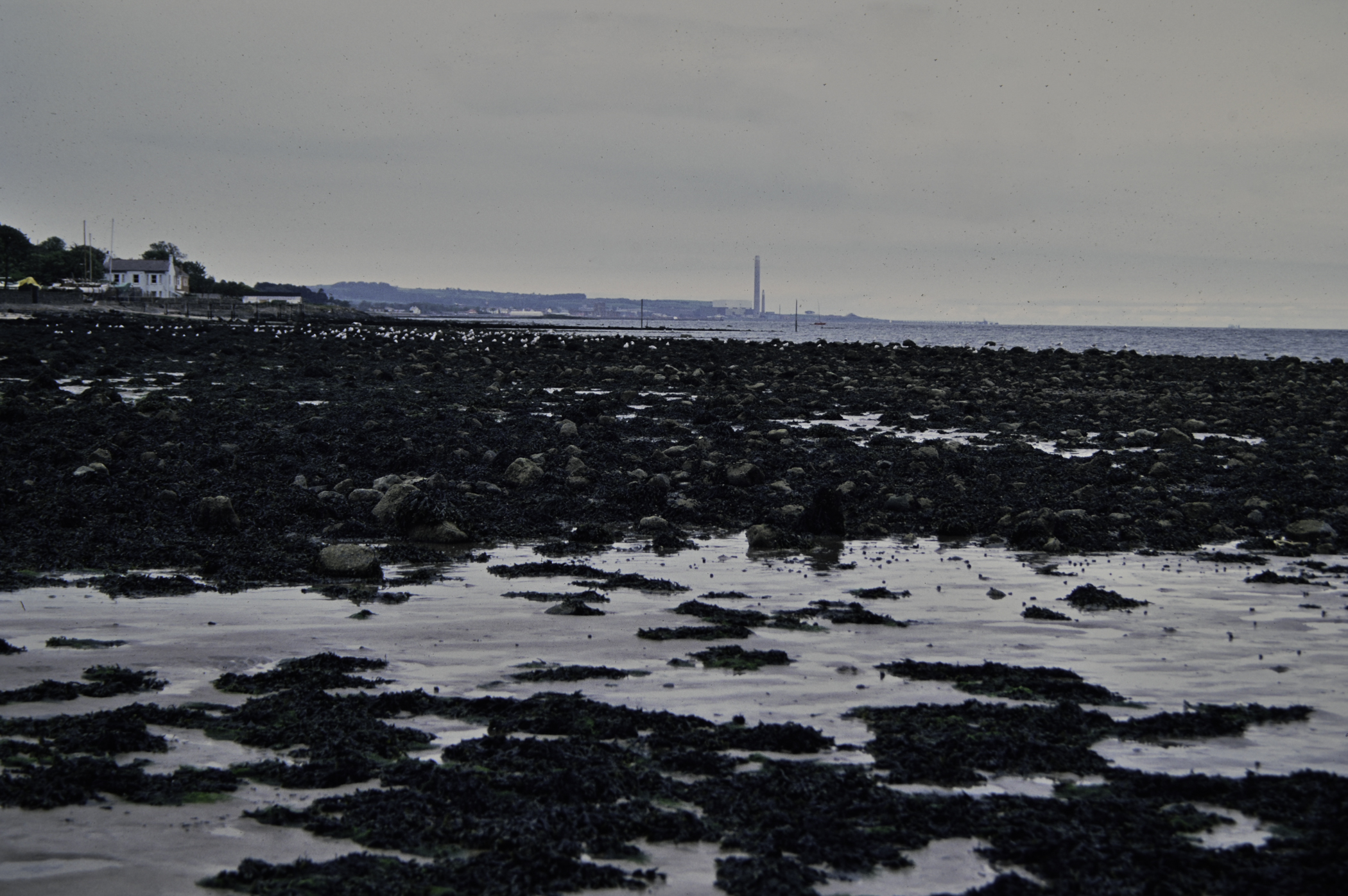 . Site: Loughshore Park, Belfast Lough. 