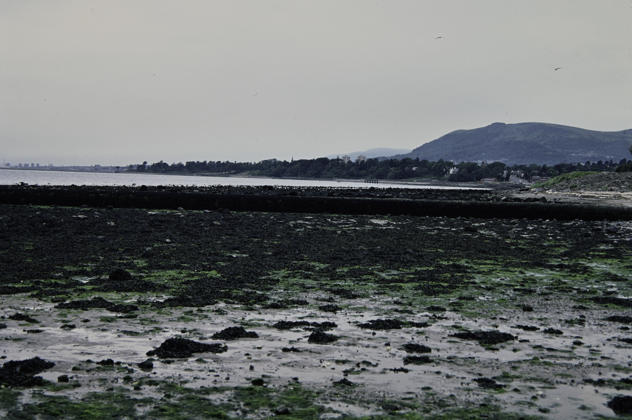 . Site: Loughshore Park, Belfast Lough. 