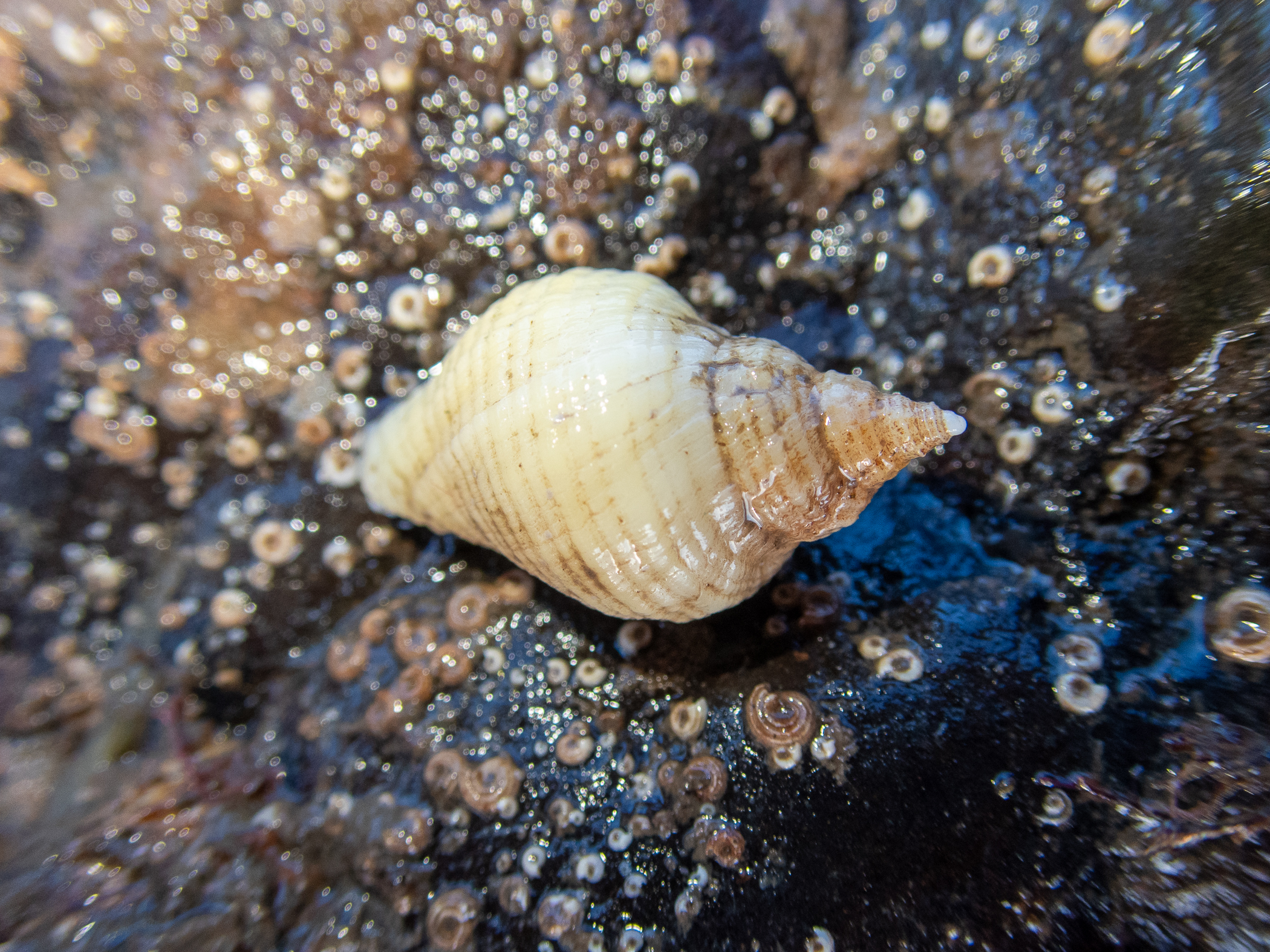 p1040281.jpg