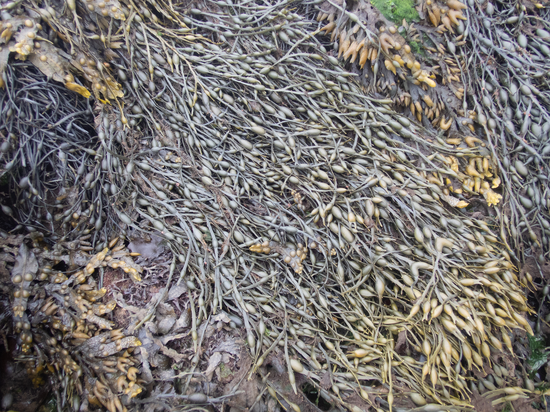p5161333.jpg