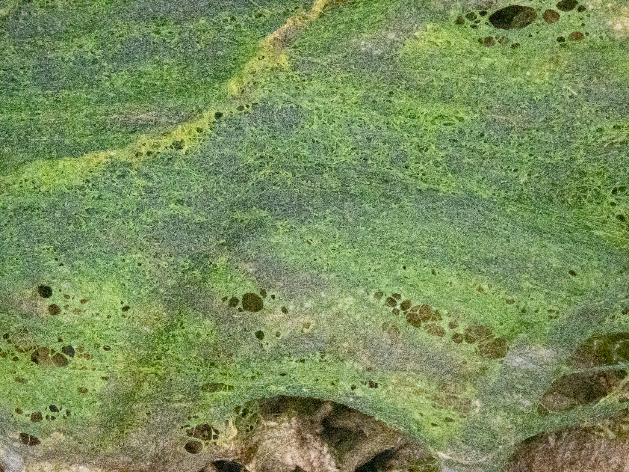 p5161344.jpg