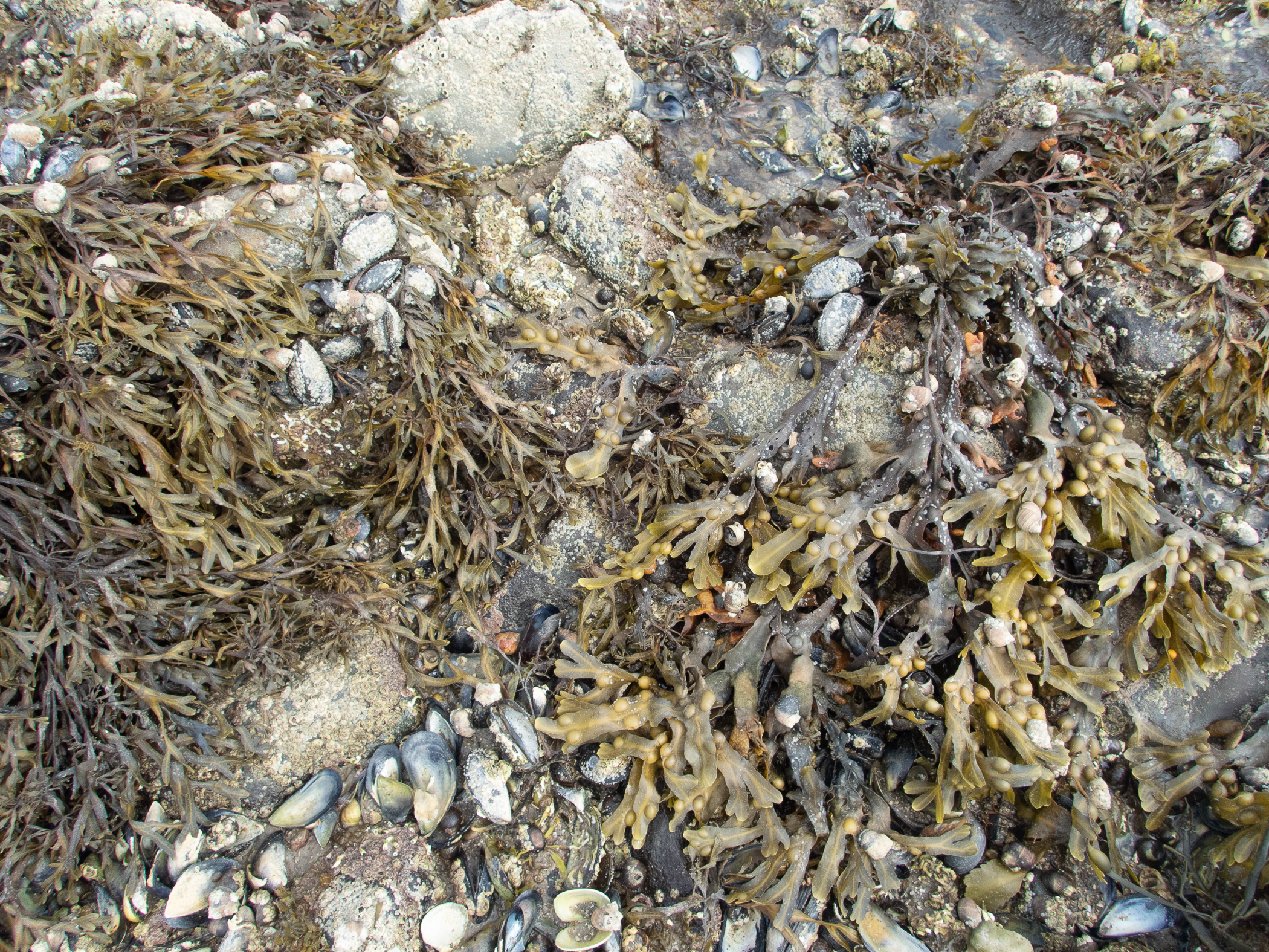 p7080466.jpg
