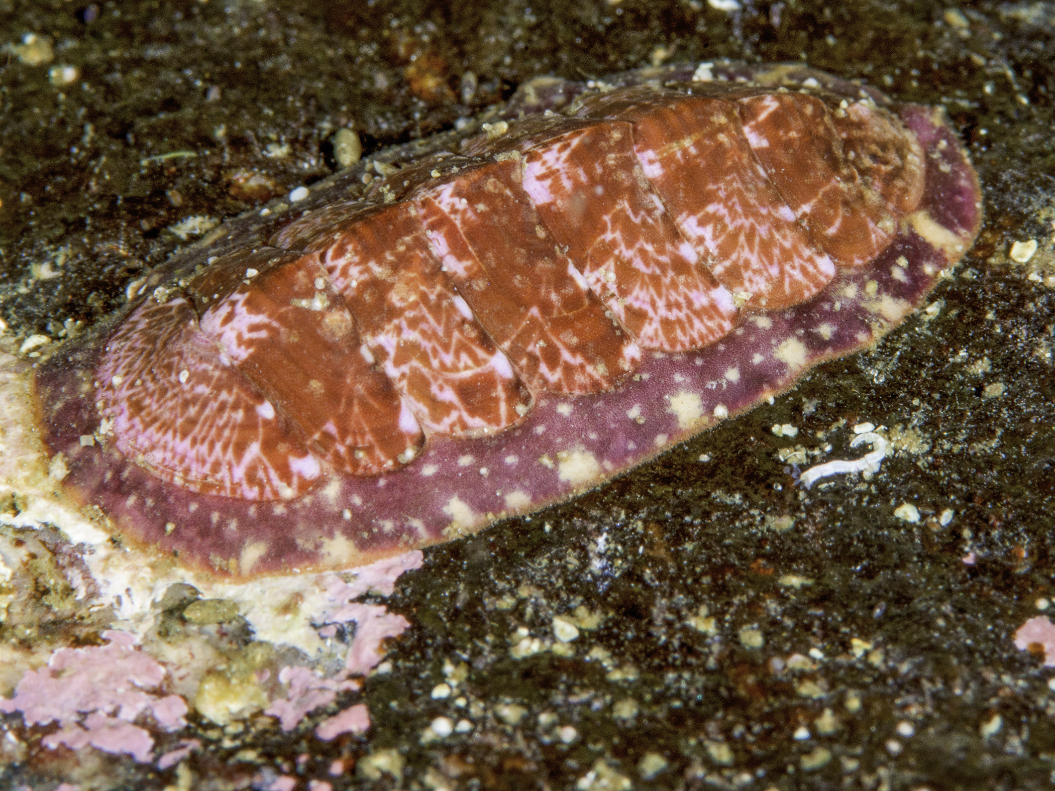 image: _b151991-edit