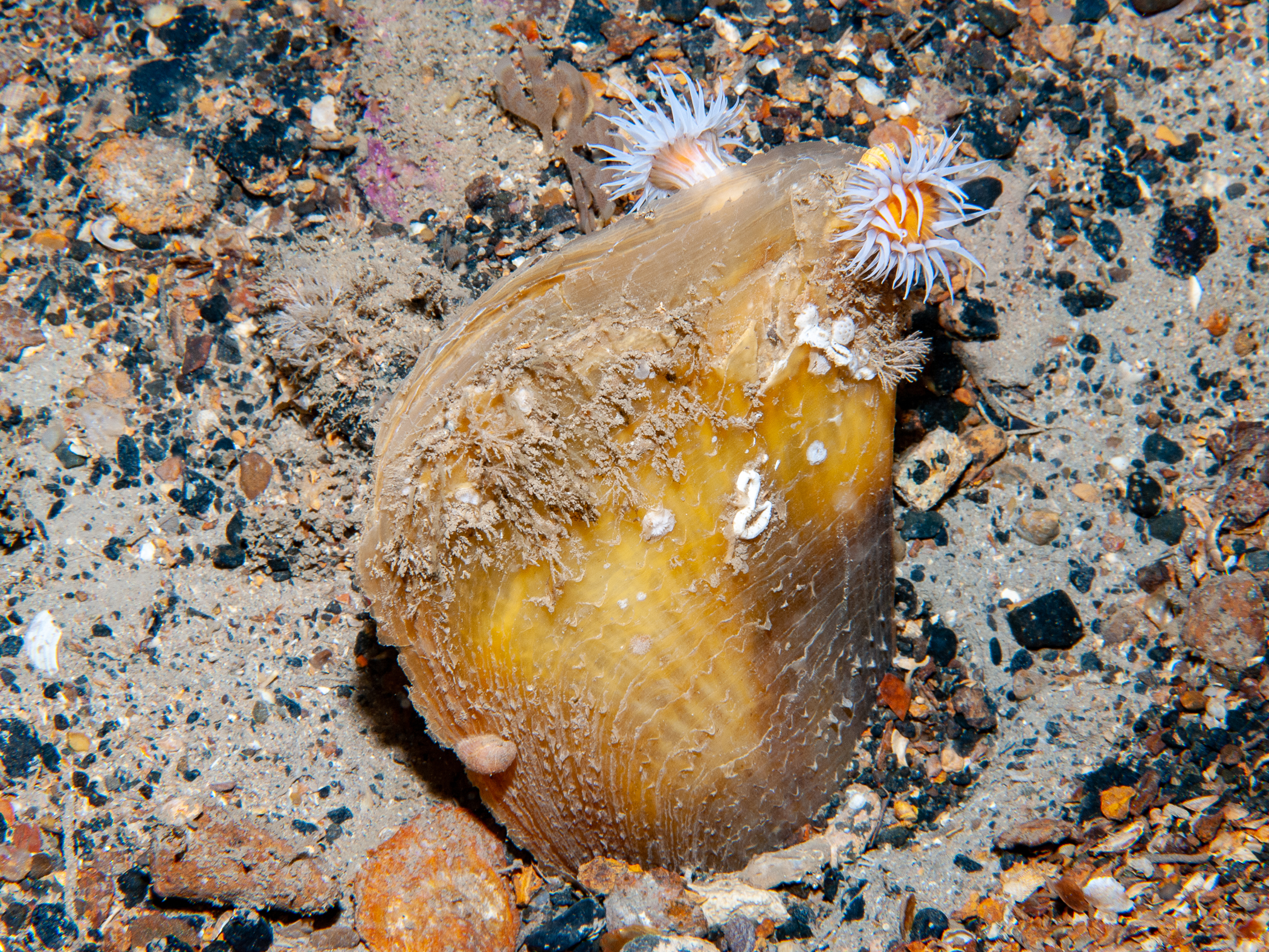 image: bep2_2606