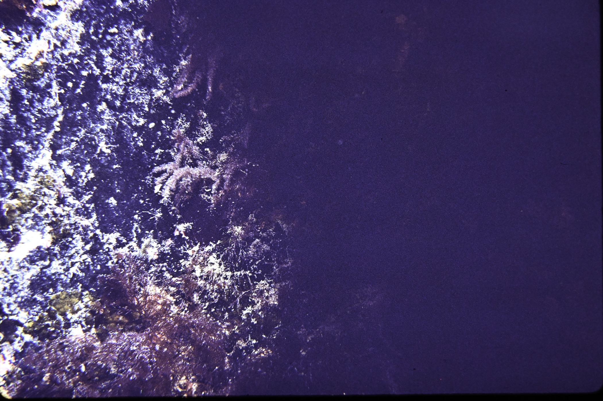 . Site: SE of St.John's Point. 