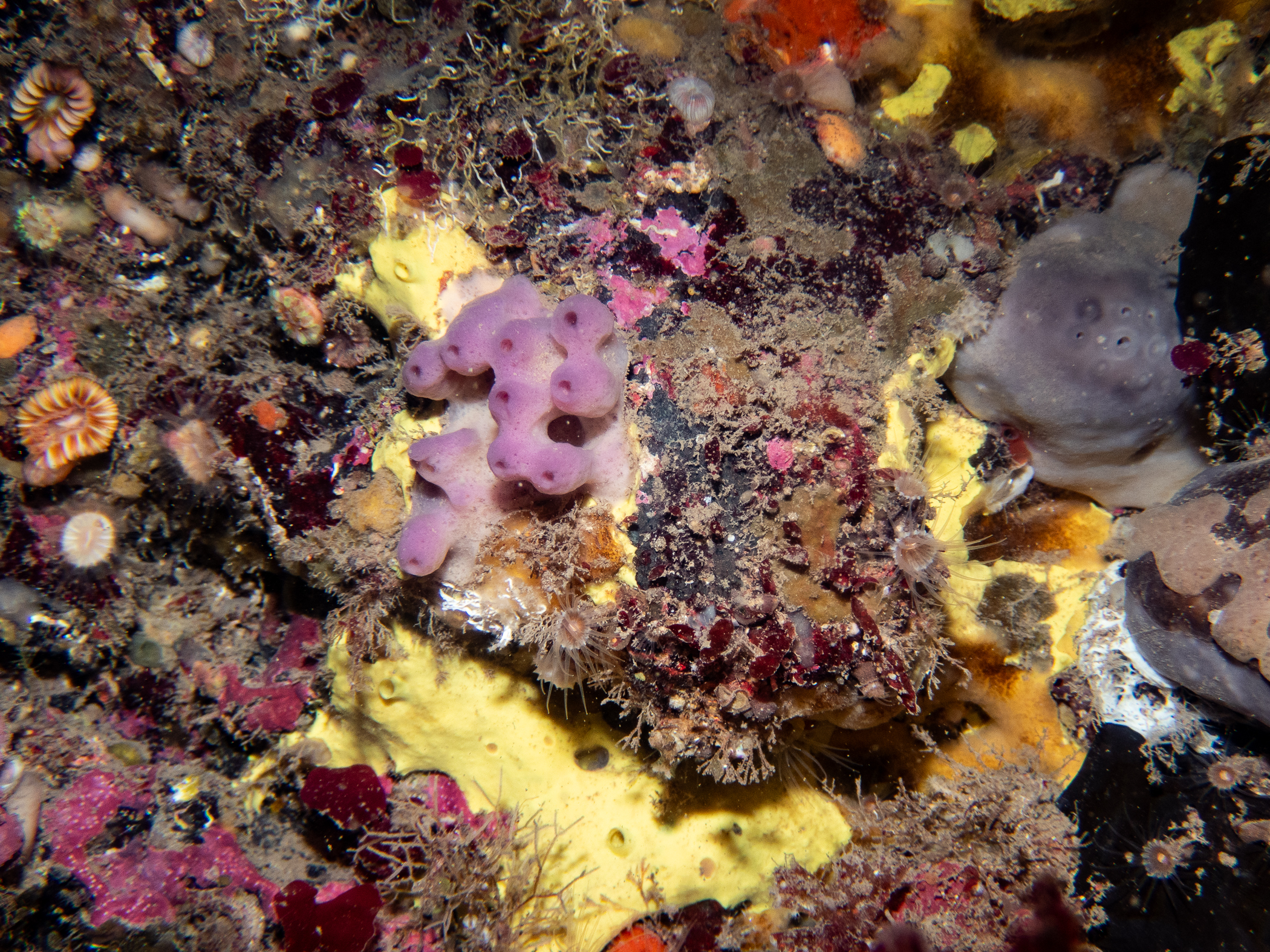 image: pa140031